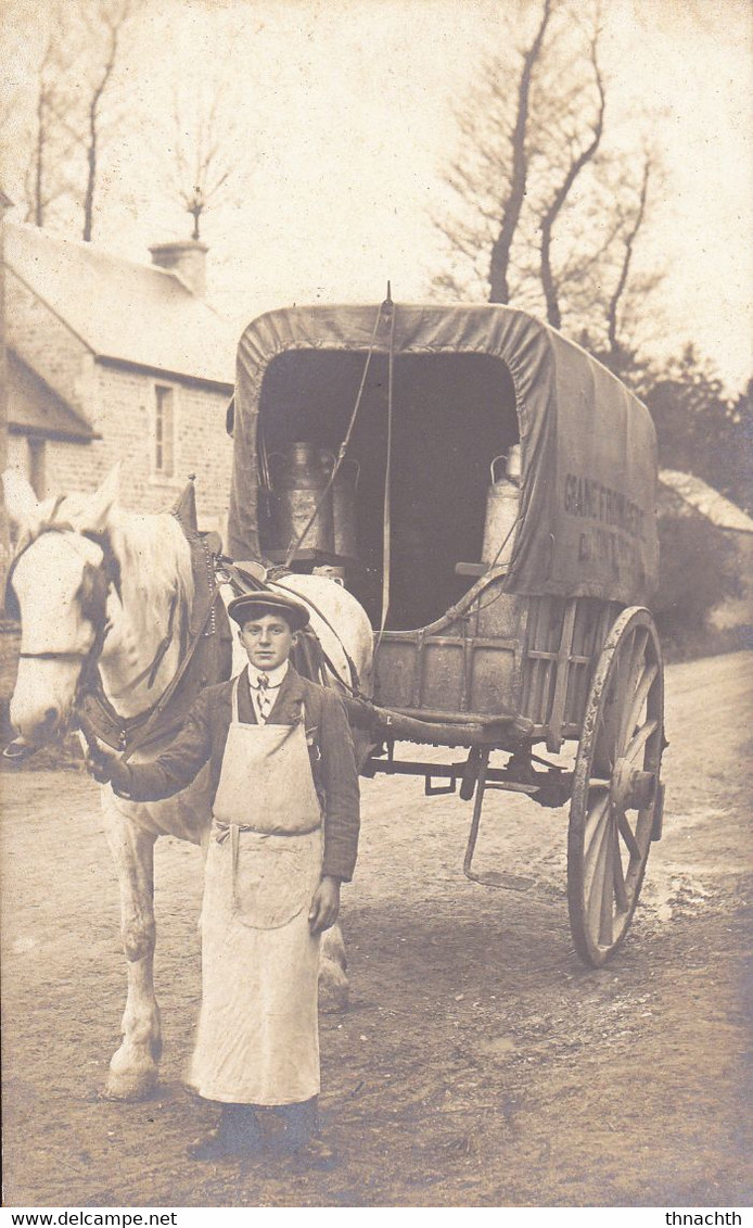 Trés Belle Carte Photo LAITIER Avec Son Attelage - Street Merchants