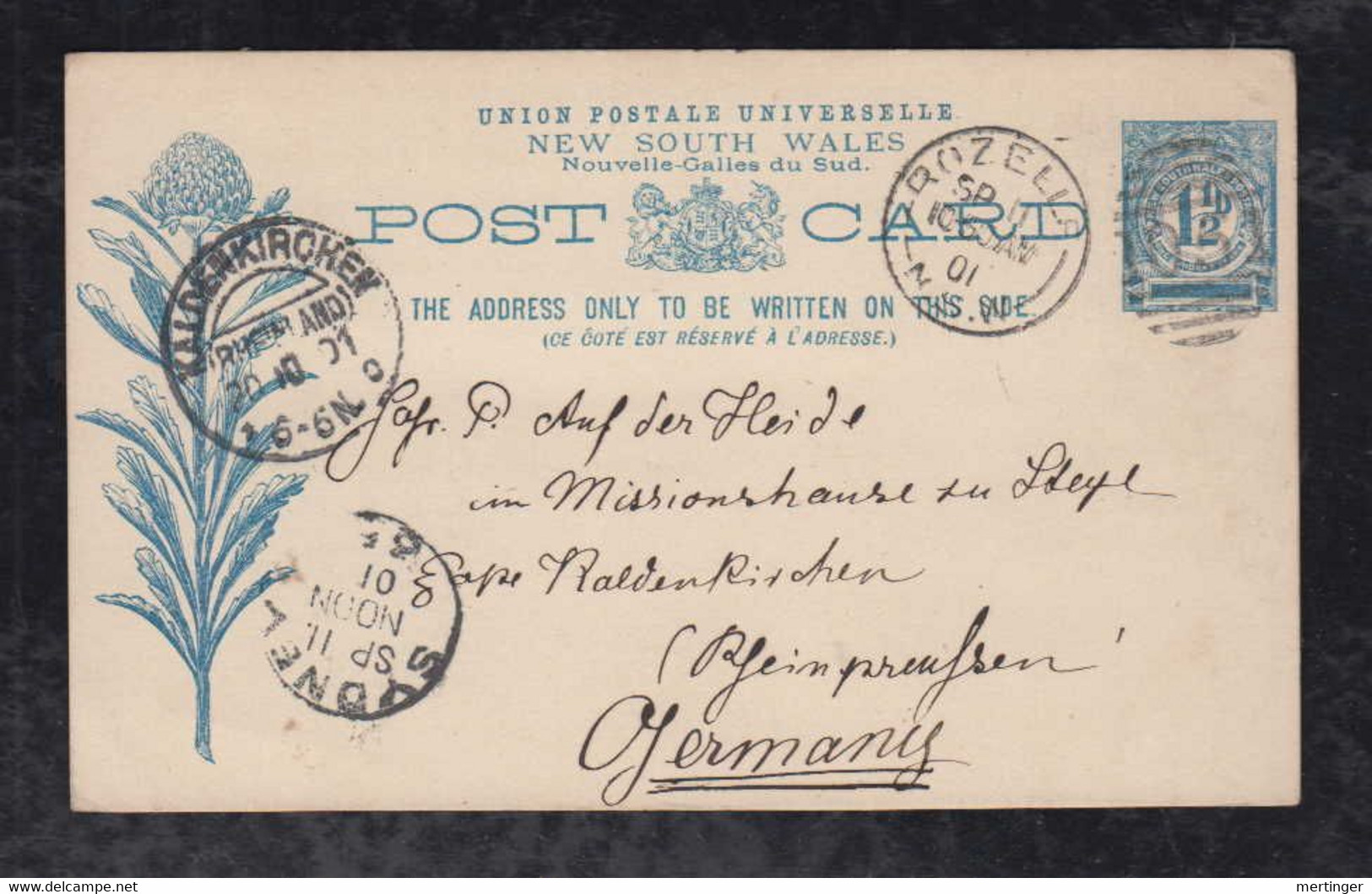 New South Wales Australia 1901 Stationery Postcard ROZELLF X KALDENKIRCHEN Germany Flower - Covers & Documents
