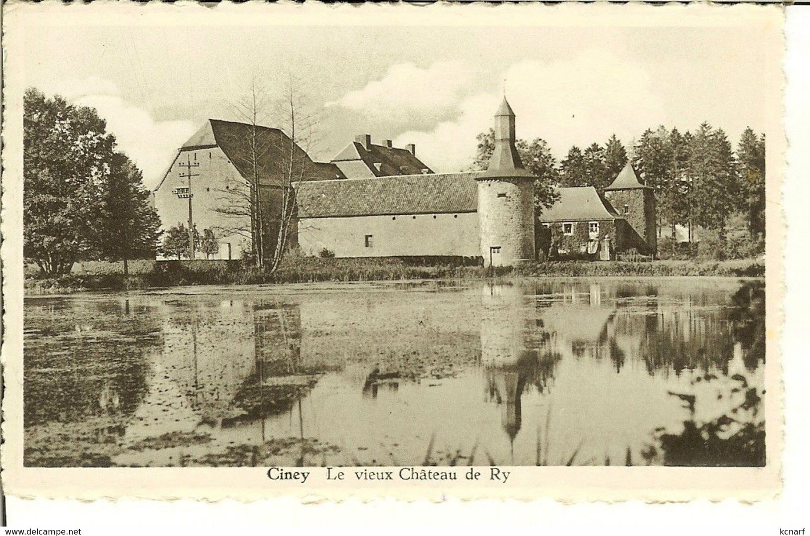 CP De CINEY " Le Vieux Château De Ry " - Ciney