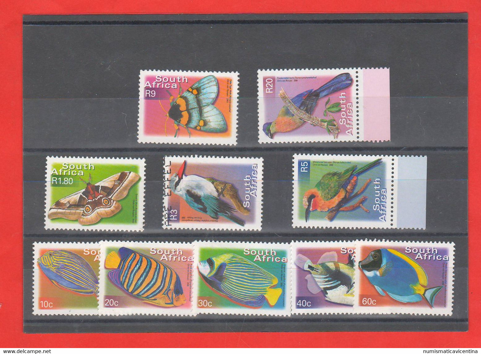 Sud Africa Animali Pesci Farfalle Uccelli Anno 2000 Nuovi Different Animals Fish Butterflies And Birds Of South Africa - Unused Stamps