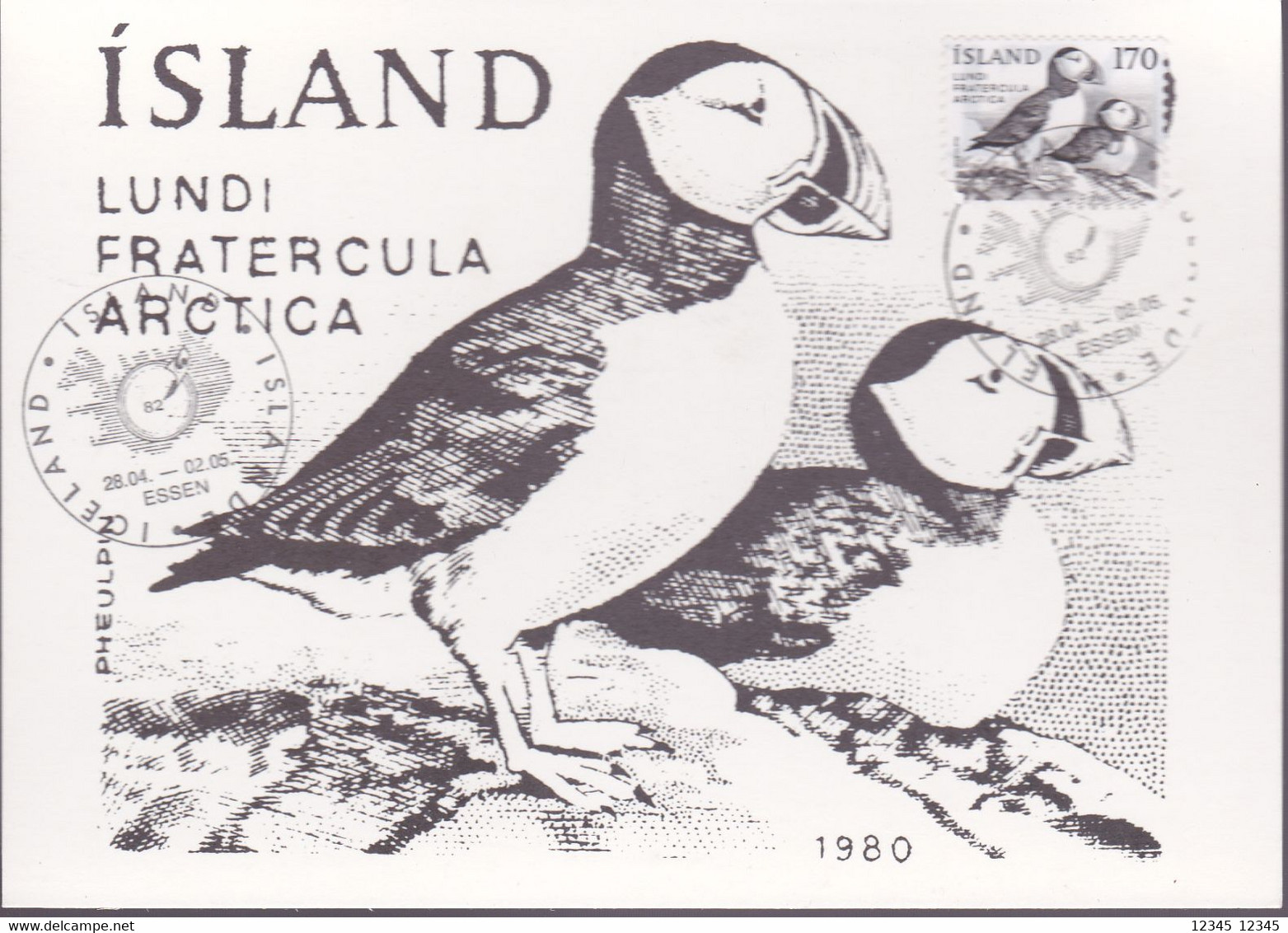 IJsland 1980, Birds - Cartes-maximum