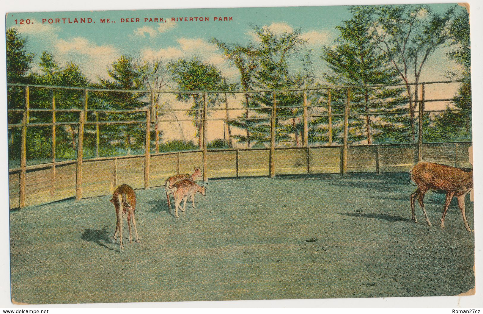 Riverton Park ZOO Portland, USA - Deer - Portland