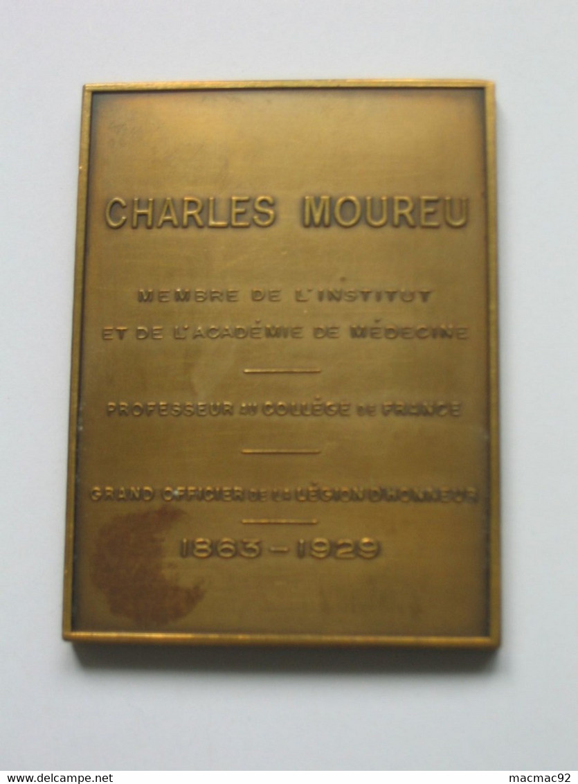 Médaille CHARLES MOUREU - Professeur Au Collège De France  **** EN ACHAT IMMEDIAT **** - Professionnels / De Société