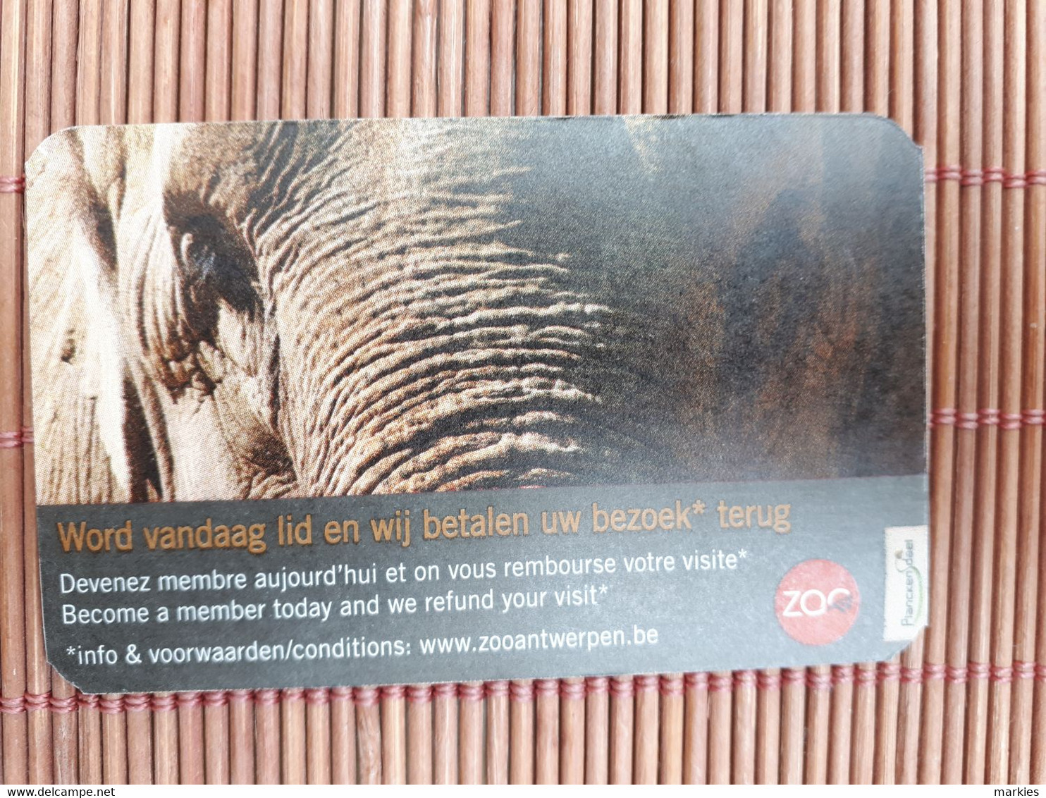The Zoo Entreecard Antwerp  Not Phonecard Used Rare - Onbekende Oorsprong