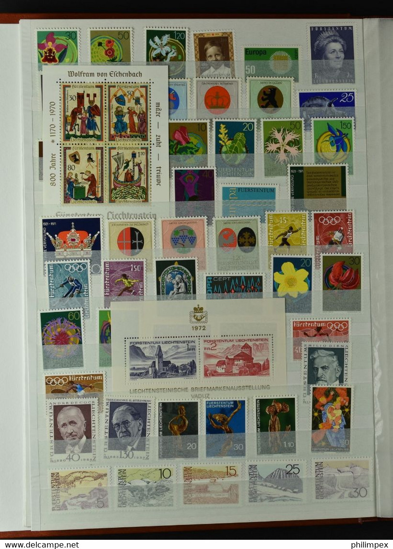 LIECHTENSTEIN, COLLECTION 730 DIFFERENT NEVER HINGED STAMPS IN STOCK-BOOK  1958-1995 - Collections