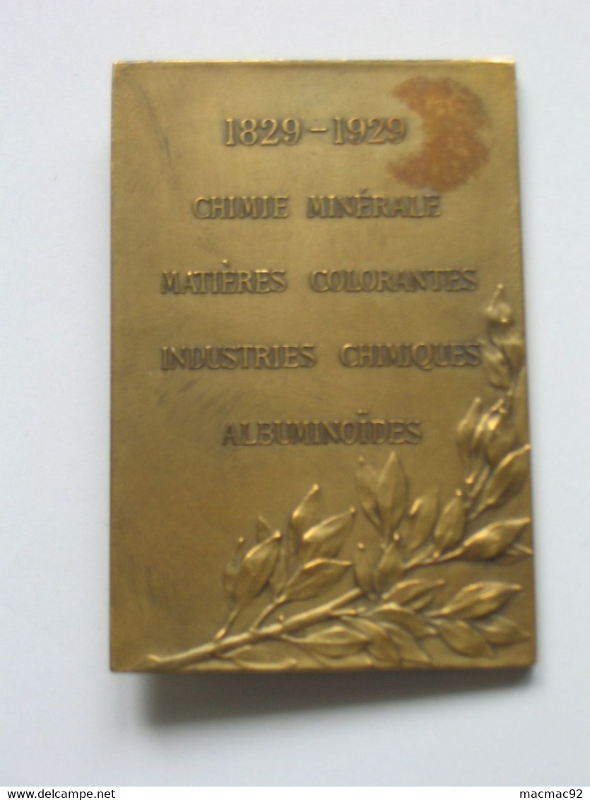 Médaille P.SCHUTZENBERGER 1829-1929- Chimie Minérale- Matières Colorantes  **** EN ACHAT IMMEDIAT **** - Professionnels / De Société