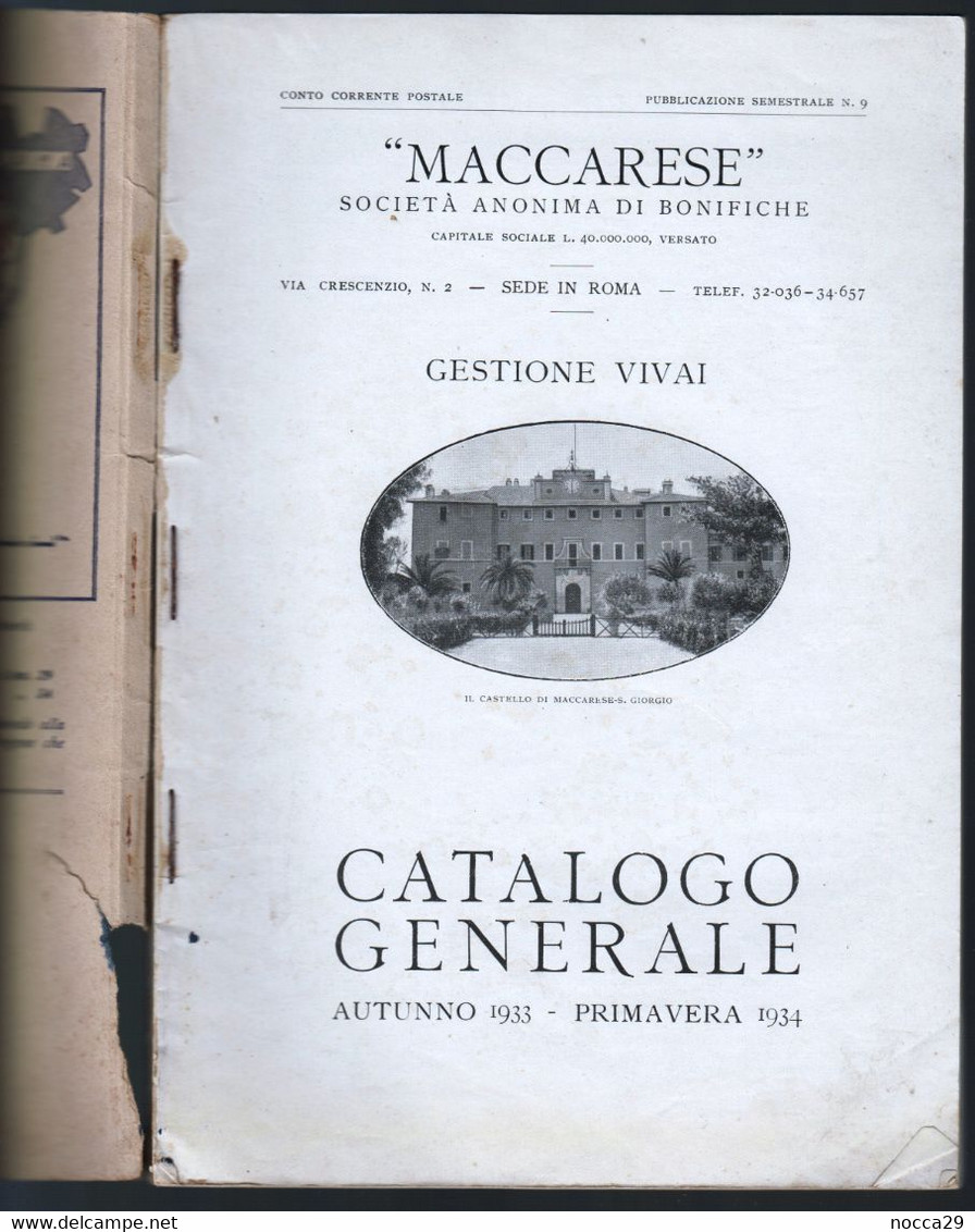 CATALOGO VIVAI MACCARESE DEL 1934 AGRICOLTURA GIARDINAGGIO UVE DA VINO ALBERI DA FRUTTA E ORNAMENTALI (STAMP164) - Jardinería