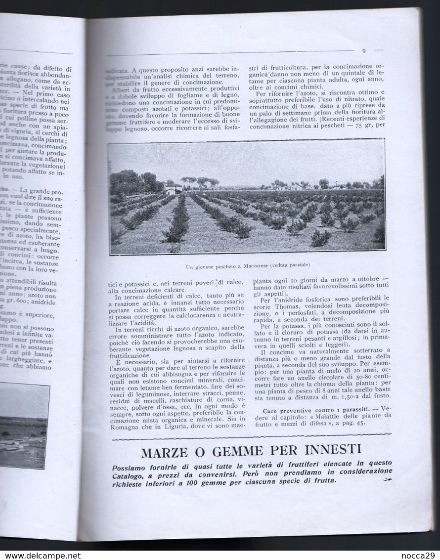 CATALOGO VIVAI MACCARESE DEL 1934 AGRICOLTURA GIARDINAGGIO UVE DA VINO ALBERI DA FRUTTA E ORNAMENTALI (STAMP164) - Gardening