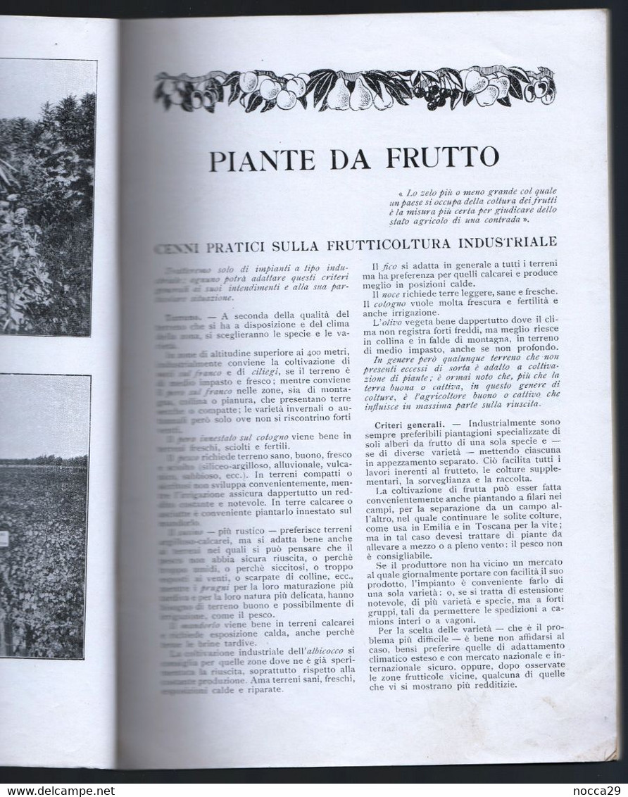 CATALOGO VIVAI MACCARESE DEL 1934 AGRICOLTURA GIARDINAGGIO UVE DA VINO ALBERI DA FRUTTA E ORNAMENTALI (STAMP164)