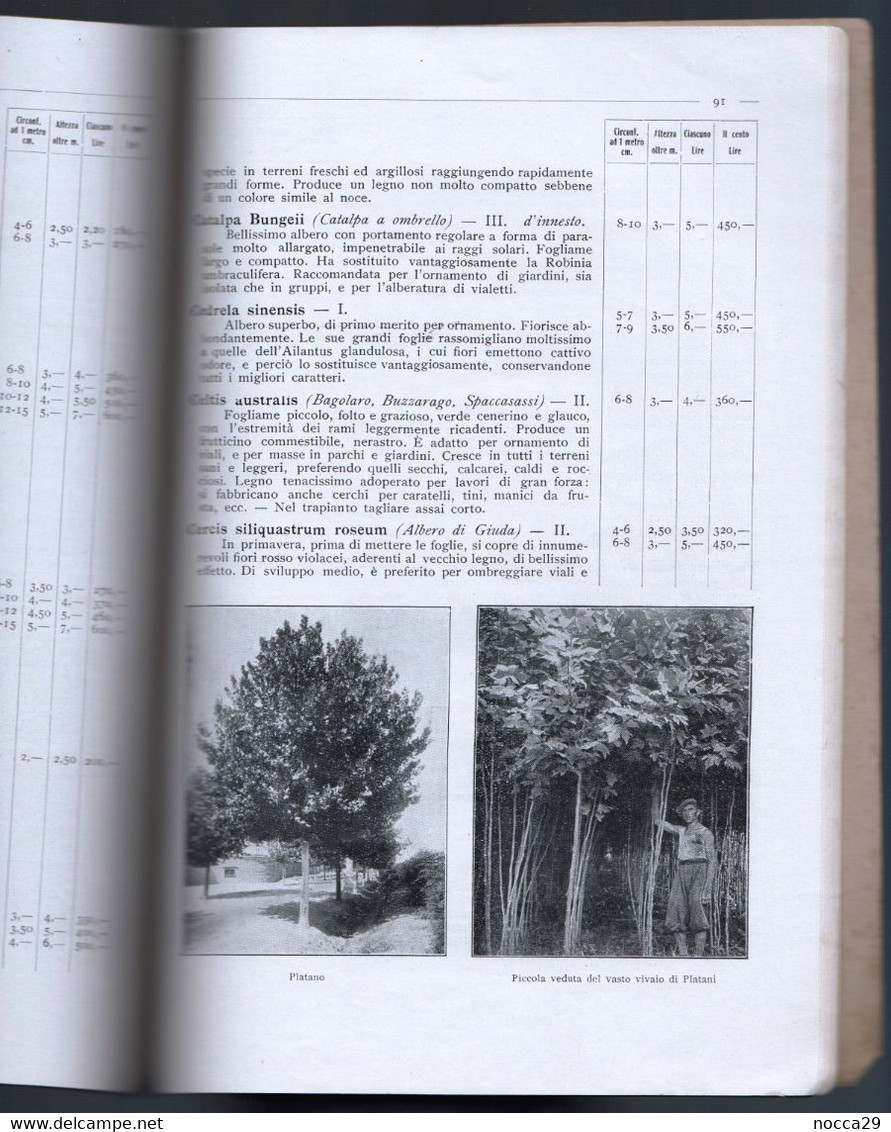 CATALOGO VIVAI MACCARESE DEL 1934 AGRICOLTURA GIARDINAGGIO UVE DA VINO ALBERI DA FRUTTA E ORNAMENTALI (STAMP164)