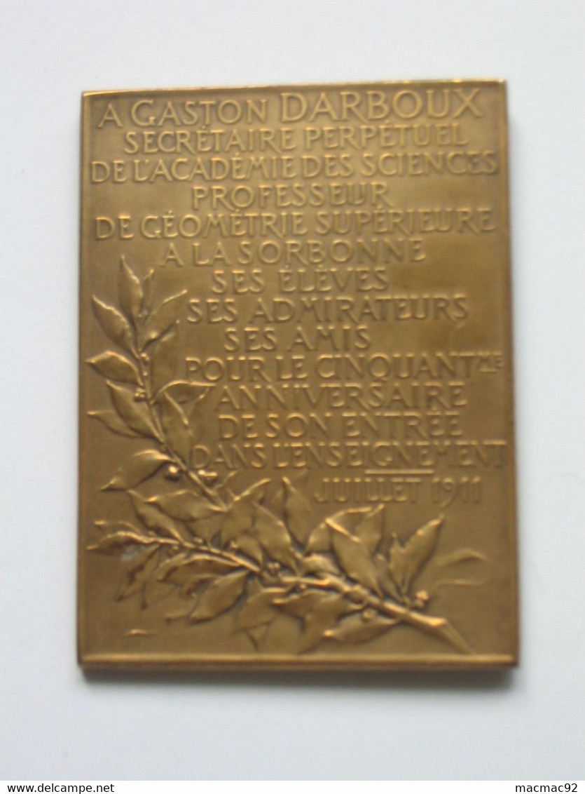 Médaille GASTON DARBOUX - Secrétaire Perpétuel De L'Académie Des Sciences  **** EN ACHAT IMMEDIAT **** - Professionnels / De Société