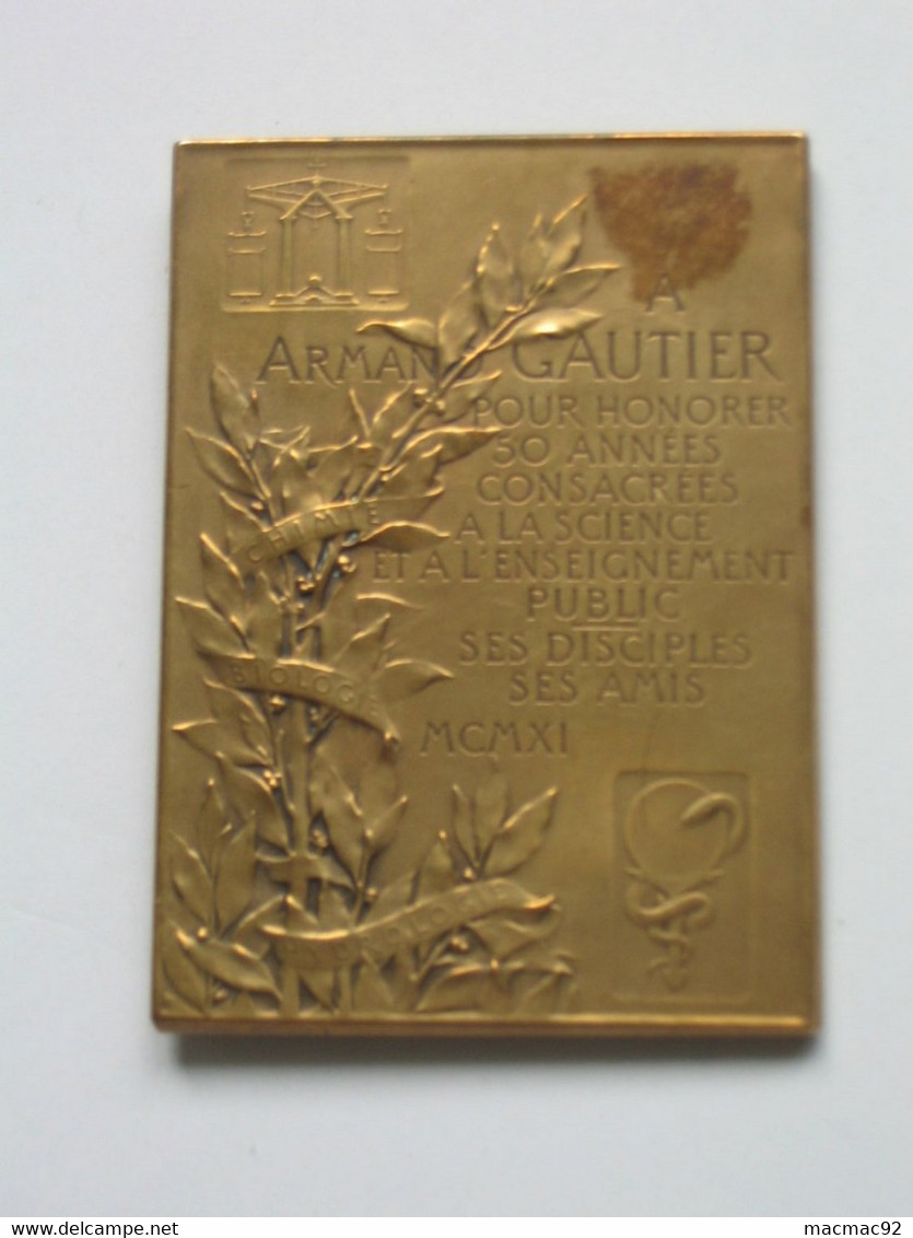 Médaille ARMAND GAUTIER  De L'institut De France   **** EN ACHAT IMMEDIAT **** - Professionnels / De Société