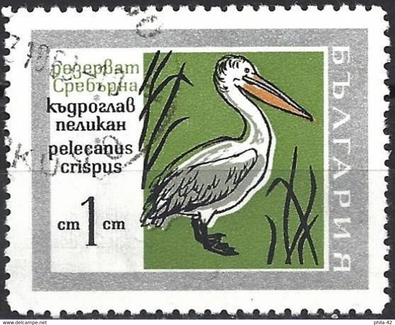 Bulgaria 1968 - Mi 1836 - YT 1627 ( Bird : Dalmatian Pelican ) - Pélicans