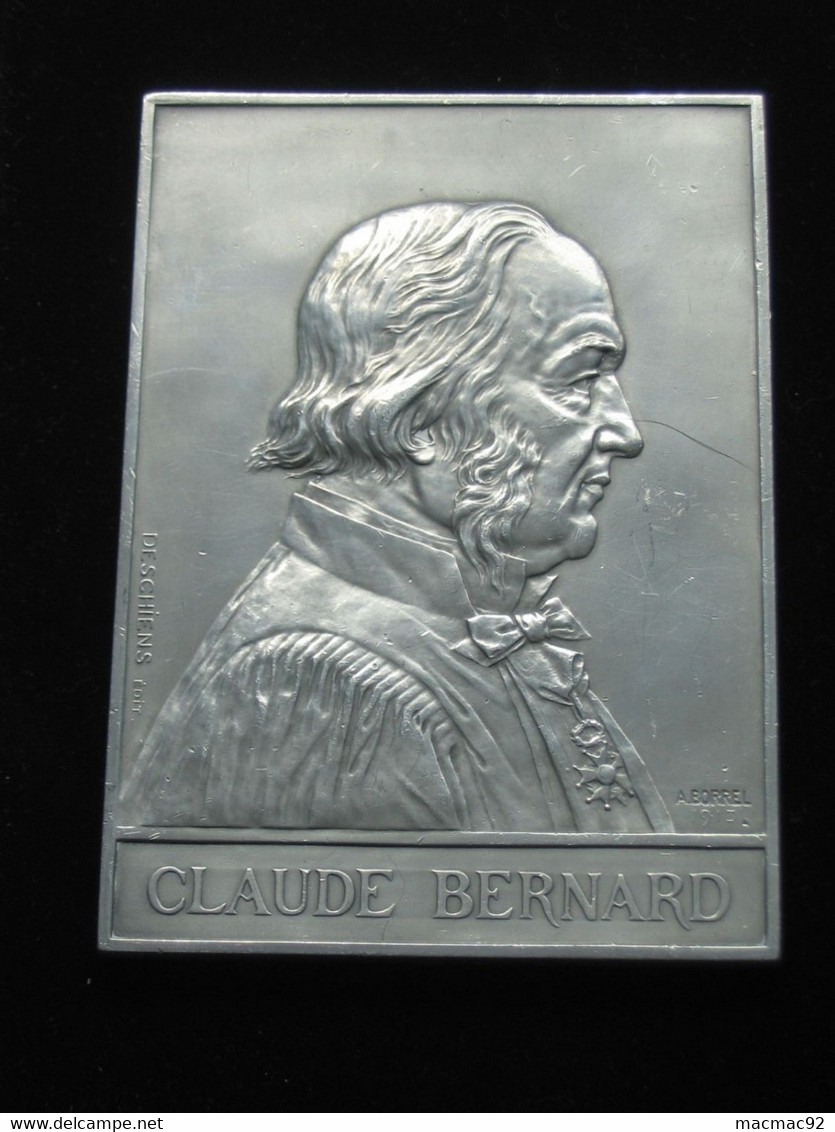 Médaille - CLAUDE BERNARD 1813-1878 - Professeur Au Collège De France  **** EN ACHAT IMMEDIAT **** - Professionnels / De Société