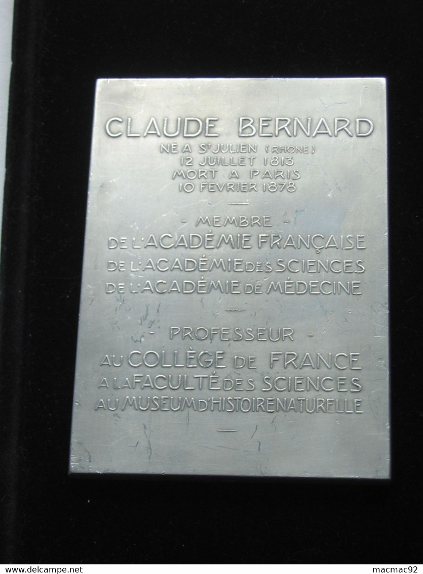 Médaille - CLAUDE BERNARD 1813-1878 - Professeur Au Collège De France  **** EN ACHAT IMMEDIAT **** - Professionnels / De Société