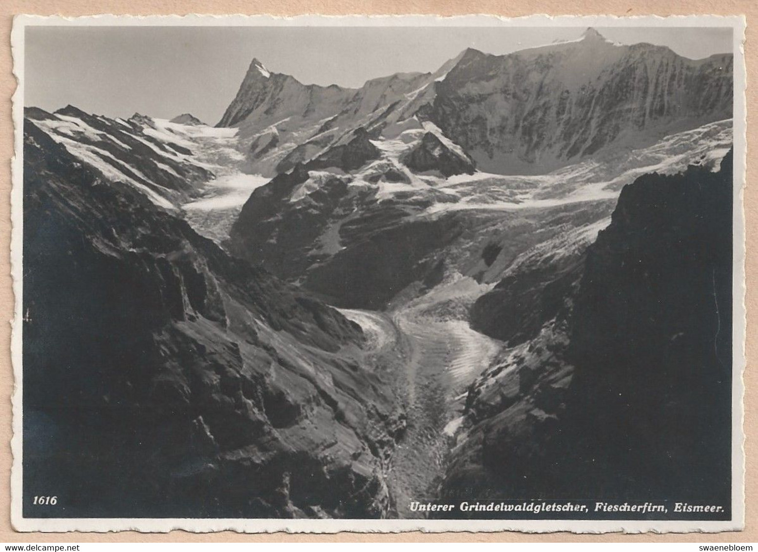 CH.- SUISSE. UNTERERGRINDELWALDGLETSCHER, FIESCHERFIRN, EISMEER - Fiesch