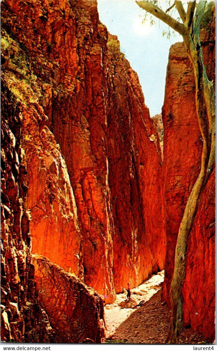 (4 H 3) Australia - NT - Standley Chasm - The Red Centre