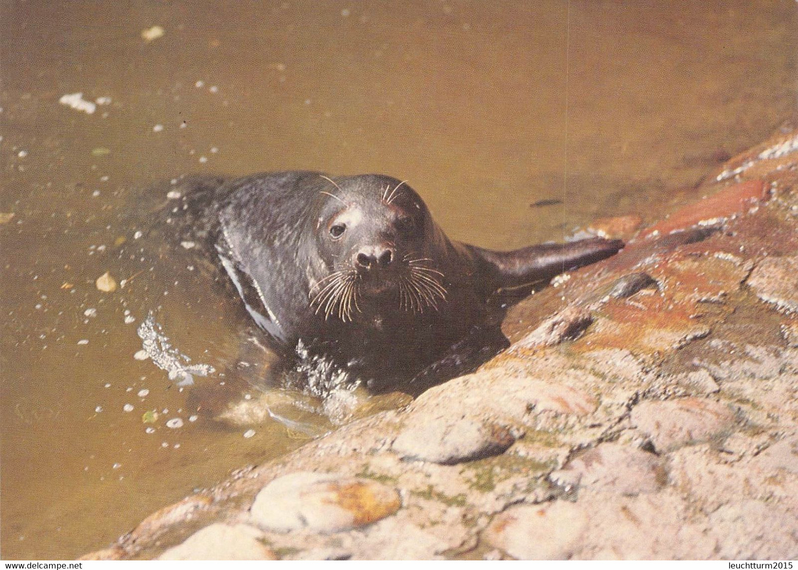 POLAND - POSTCARD 1992 JAN CZERSKI / ZL129 - Lettres & Documents