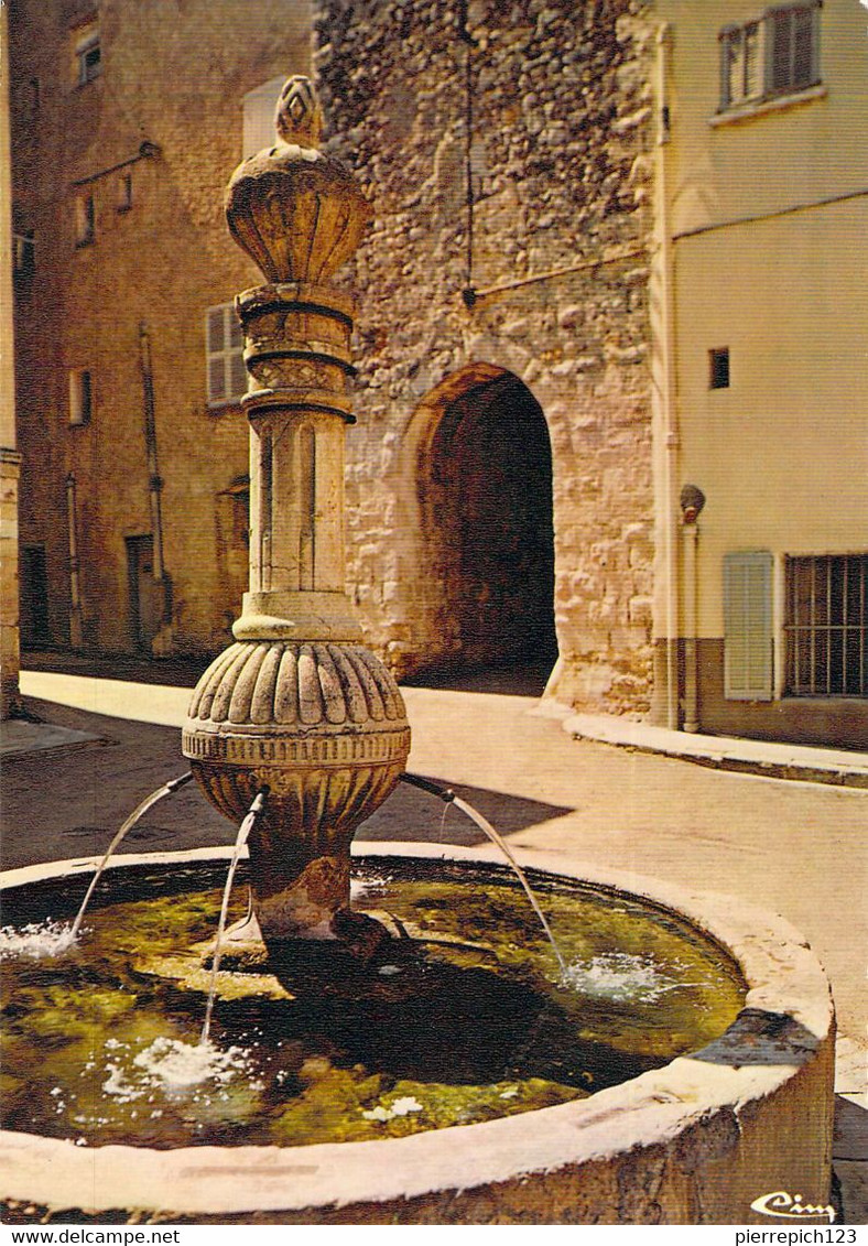 83 - Bargemon - Vieille Fontaine Et Porte - Bargemon