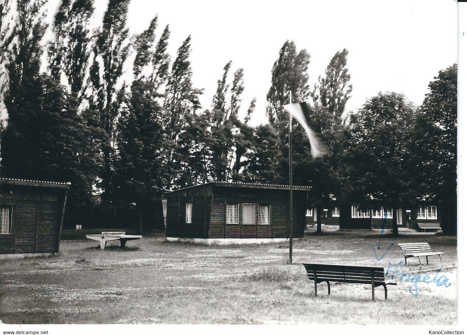 Großer Buckower See, Kinderferienlager „Reimonde Dien“, Energiekombinat Berlin, Gelaufen 1982, Bildseite U. Beschrieben - Buckow