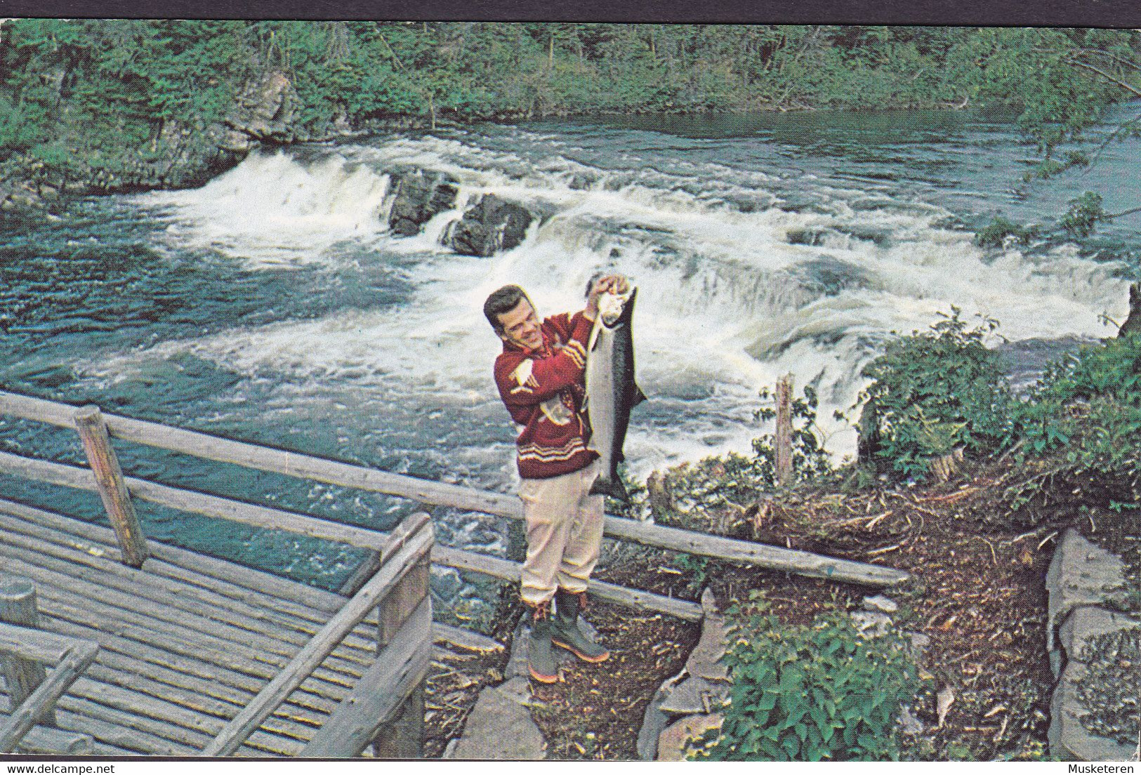 Canada CPA Atlantic Salmon Caught On Falls At Serpentine River CORNER ROCK 1954 GÖTEBORG Sweden - Altri & Non Classificati