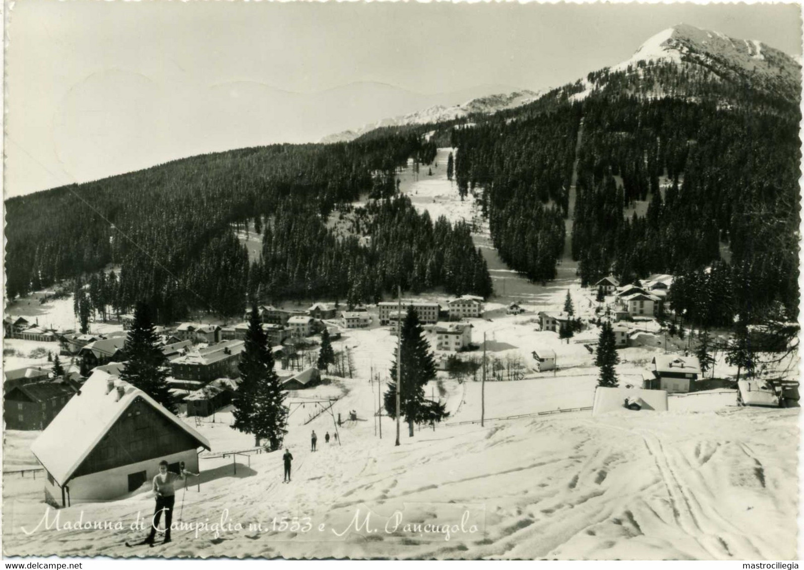 MADONNA DI CAMPIGLIO  TRENTO  Invernale Skilift  Sci Ski  Monte Pancugolo - Trento