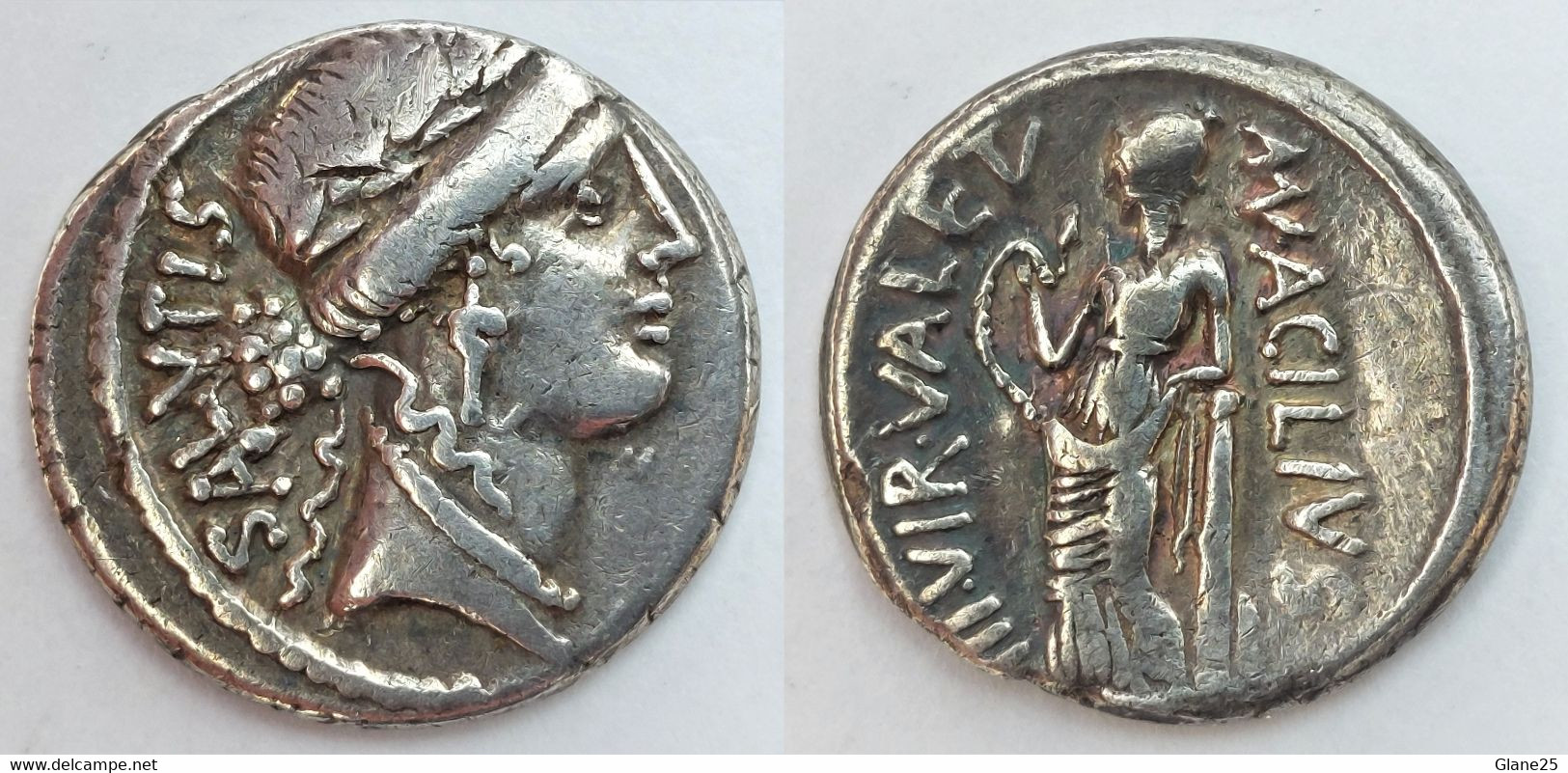 Man. Acilius Glabrio - Silver Denarius. Rome, 49 B.C. Bust Of Salus SALVTIS - Repubblica (-280 / -27)