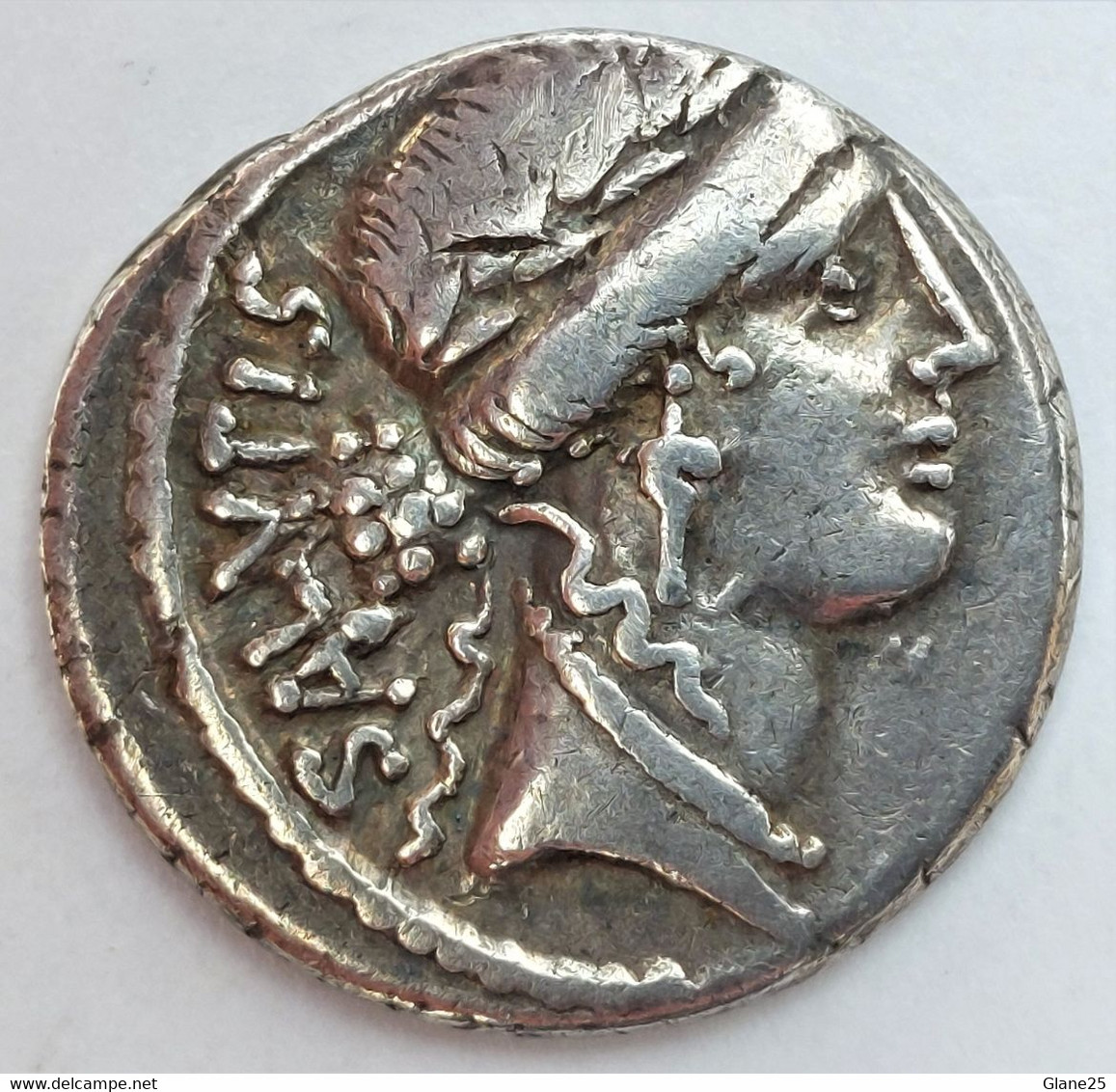 Man. Acilius Glabrio - Silver Denarius. Rome, 49 B.C. Bust Of Salus SALVTIS - Republic (280 BC To 27 BC)