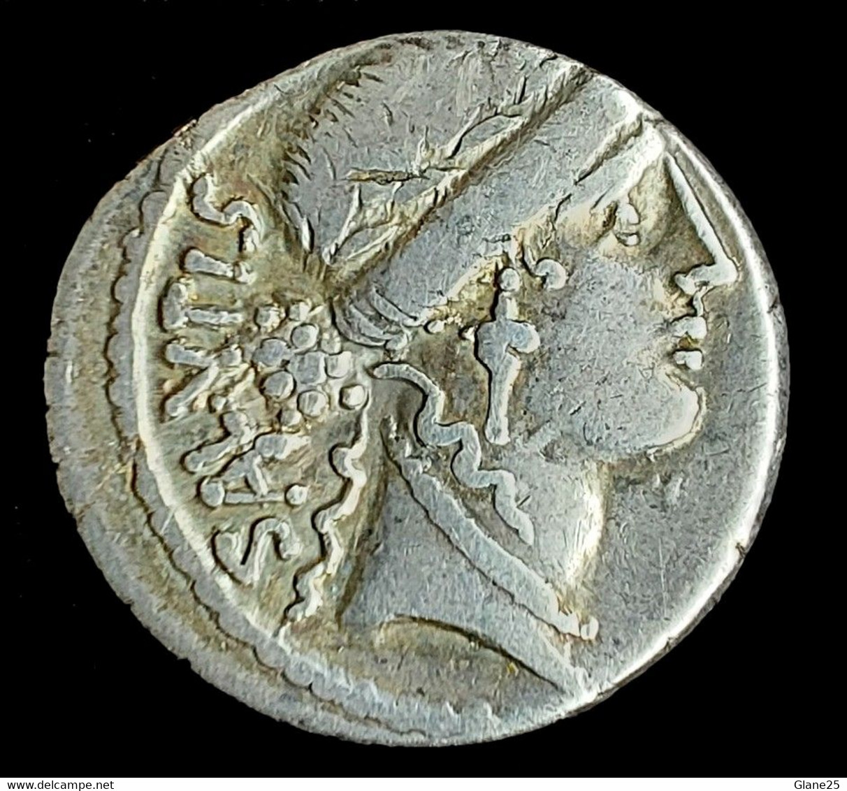 Man. Acilius Glabrio - Silver Denarius. Rome, 49 B.C. Bust Of Salus SALVTIS - Repubblica (-280 / -27)