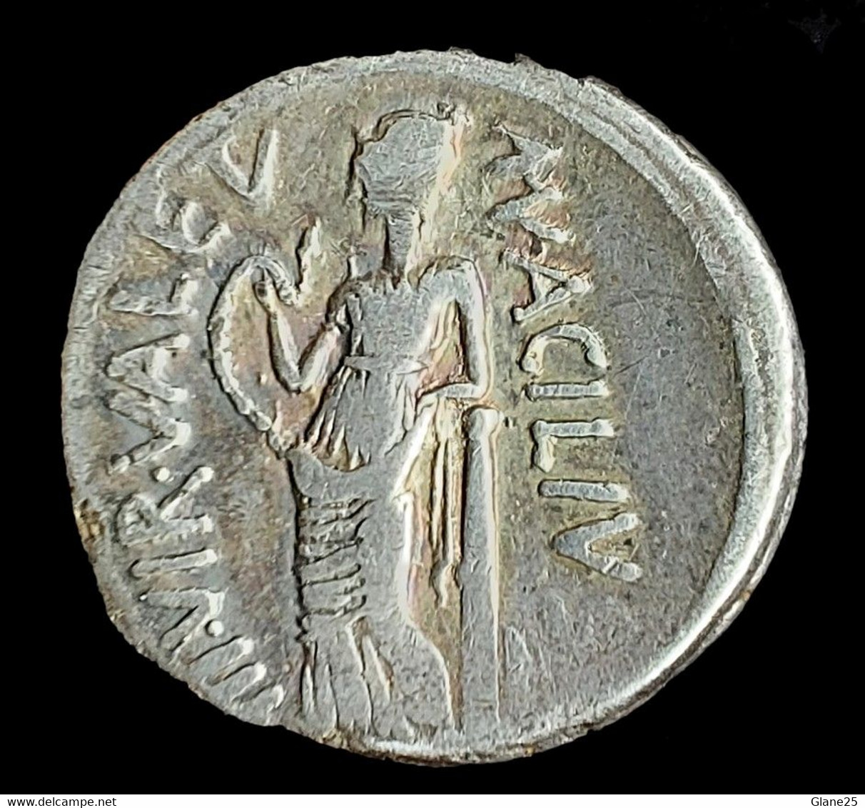 Man. Acilius Glabrio - Silver Denarius. Rome, 49 B.C. Bust Of Salus SALVTIS - Republic (280 BC To 27 BC)