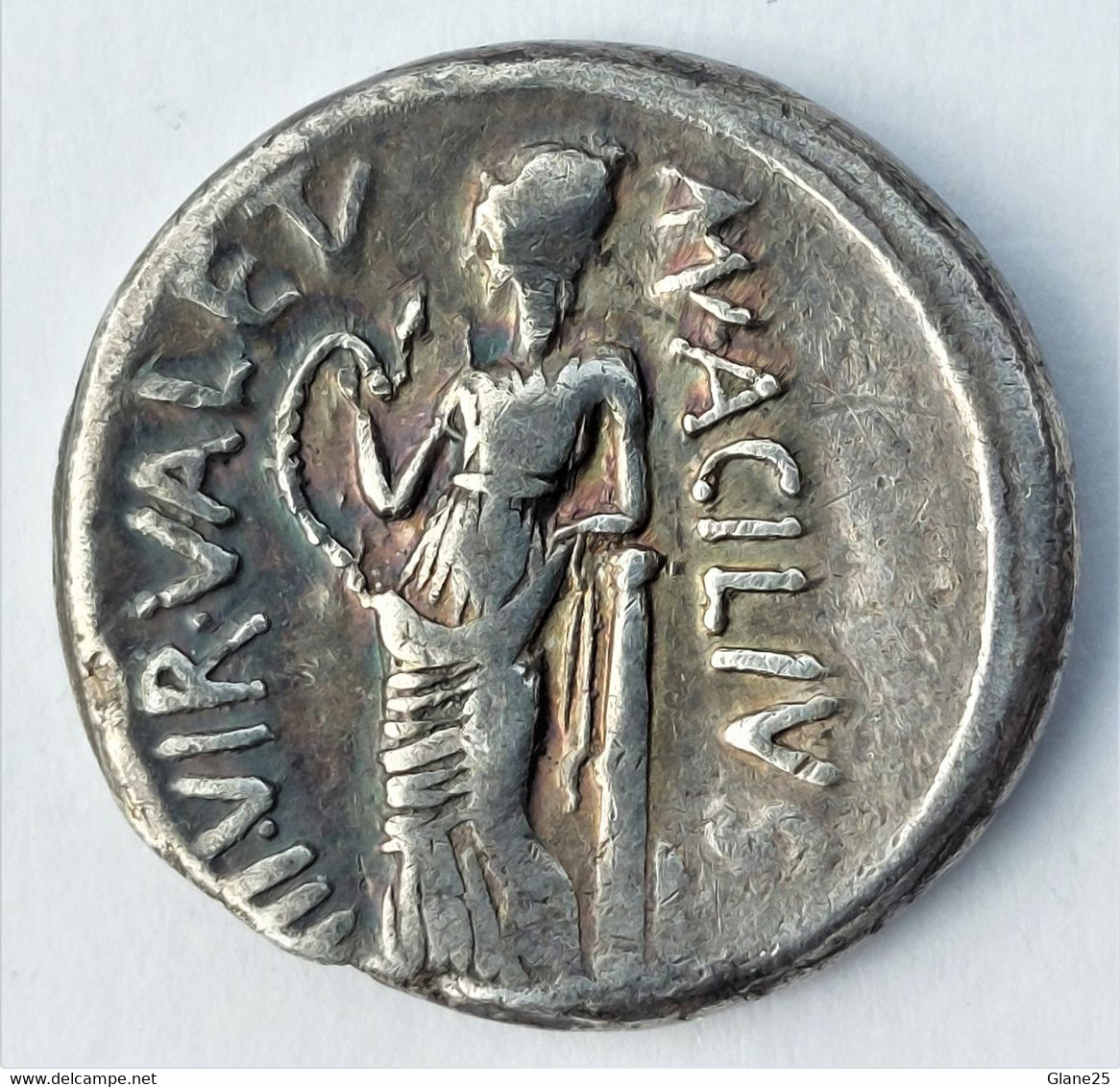 Man. Acilius Glabrio - Silver denarius. Rome, 49 B.C. Bust of Salus SALVTIS