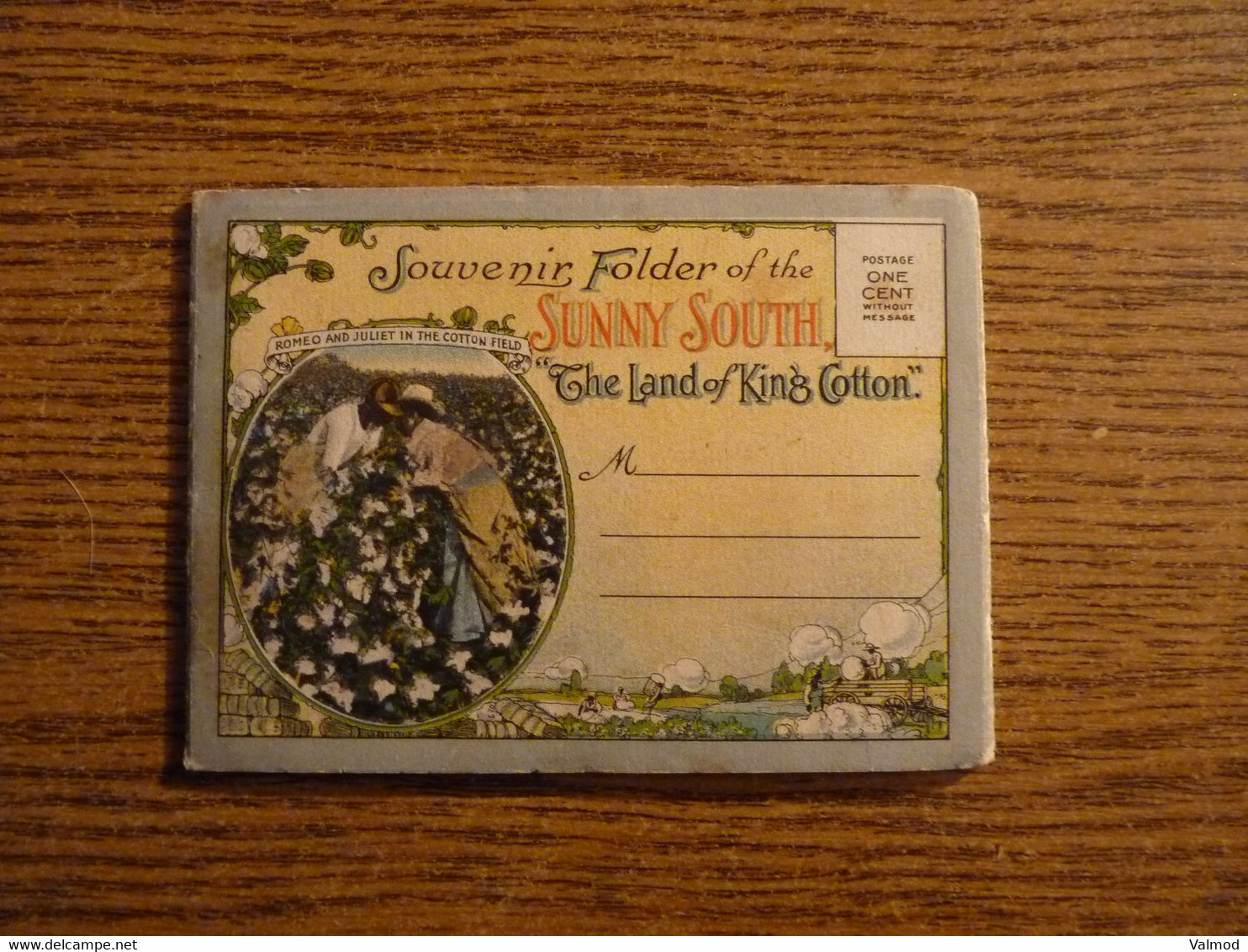 Etats Unis - "Sunny South - The Land Of King Cotton - Dépliant Accordéon 10 Vues Toutes Photographiées Recto -11x8cm Env - Black Americana
