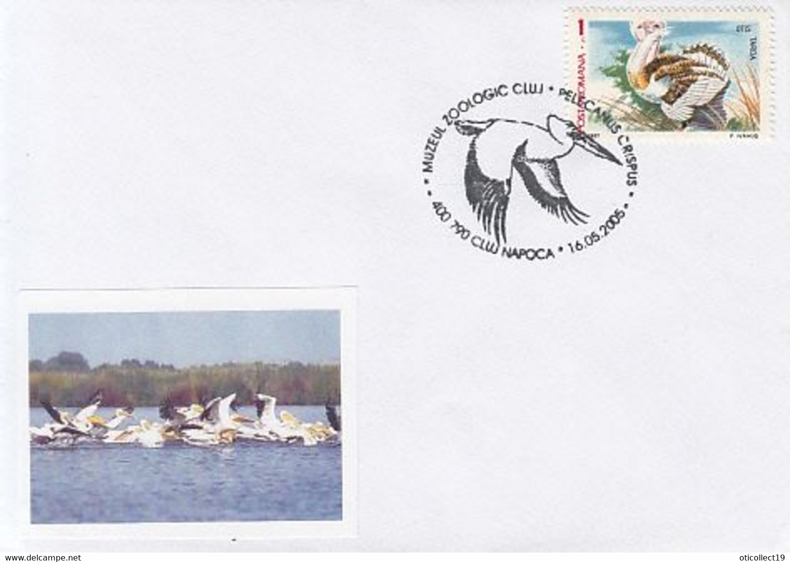 ANIMALS, BIRDS, PELICANS, BUSTARD STAMP, SPECIAL COVER, 2005, ROMANIA - Pélicans