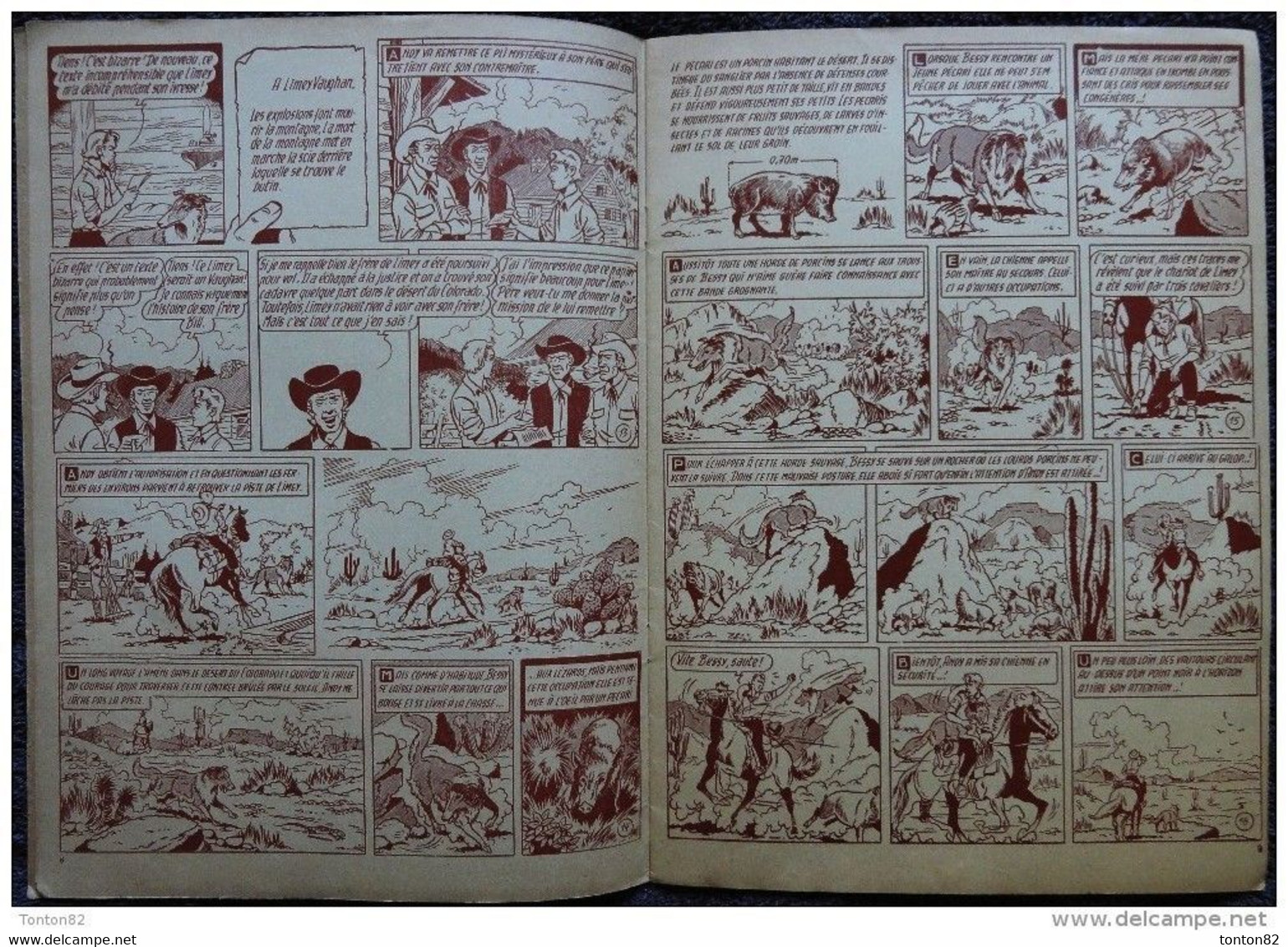 Les Aventures De Bessy - N° 27 - Le Butin Caché - Éditions Érasme - ( 1960 ) . - Bessy