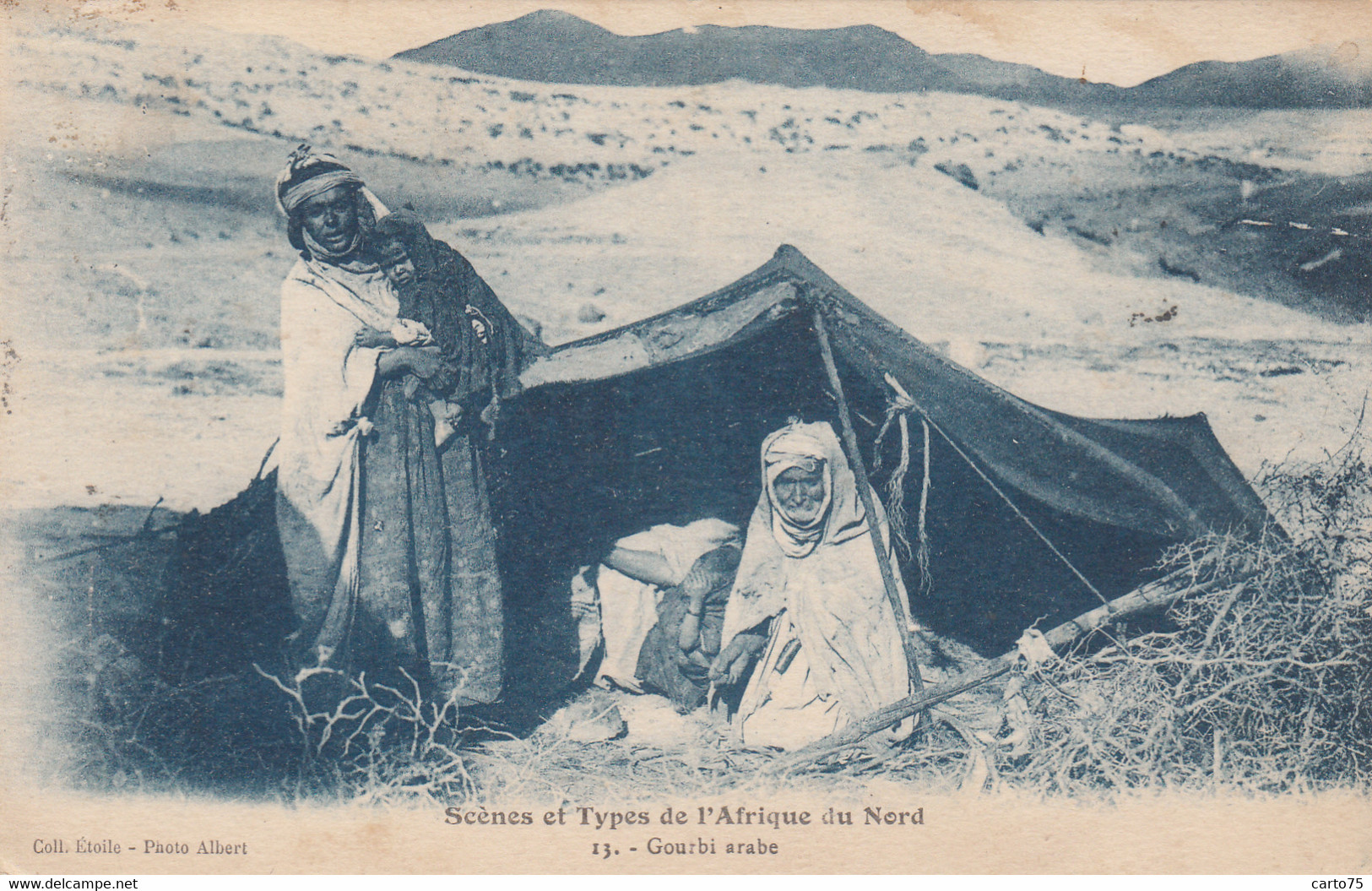 Afrique - Algérie - Gourbi Arabe - Photo Albert - Scènes & Types