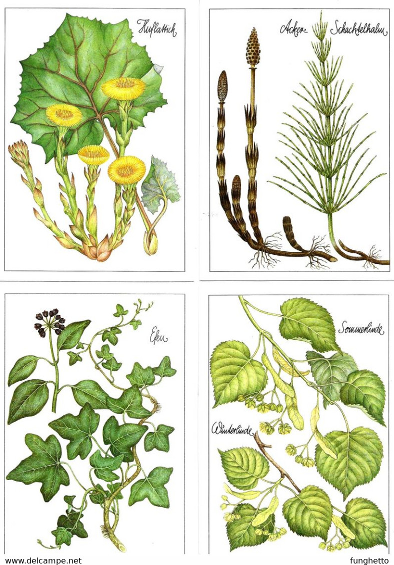 Cofanetto con 12 cartoline tedesche PIANTE MEDICINALI "Pflanzen helfen heilen" = "Le piante aiutano a guarire".