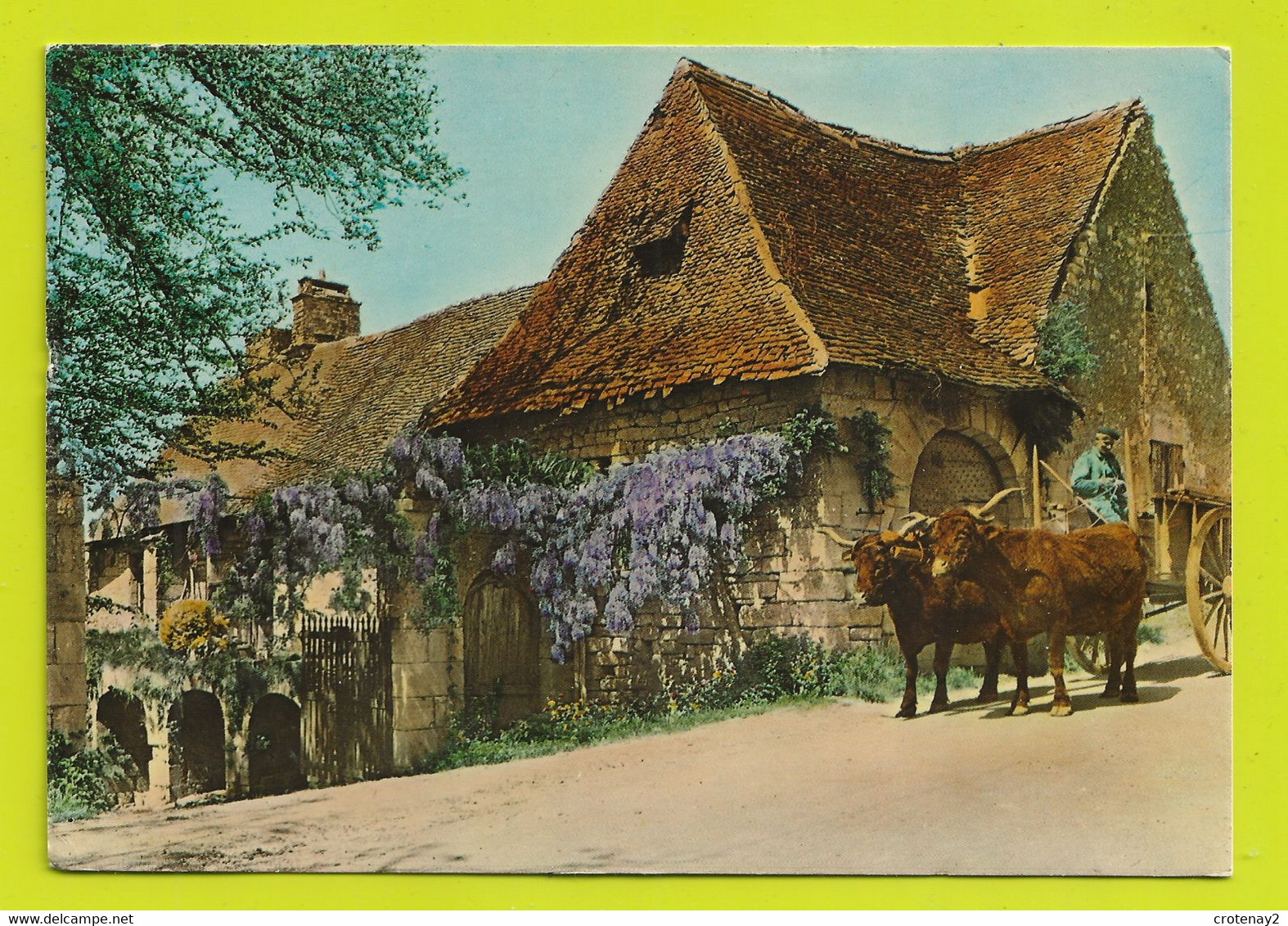 En Périgord N°772 VOIR ZOOM Attelage De Vaches Postée De St Pierre De Chignac En 1977 - Attelages