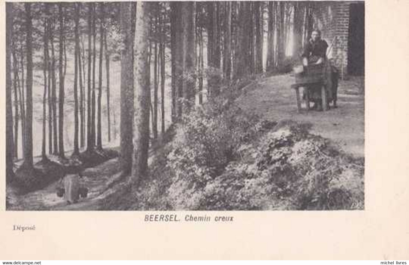 Beersel - Chemin Creux - Pas Circulé - Dos Non Séparé - Animée - Etat Neuf - Beersel