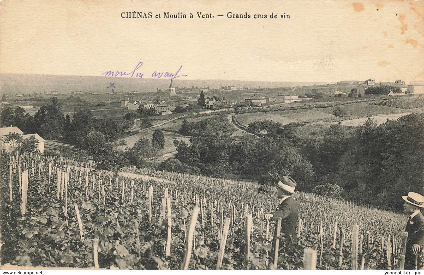 69 - RHÔNE - CHÉNAS - Moulin à Vent, Grands Crus De Vin - Cliché L.PETIT - 10151 - Chenas