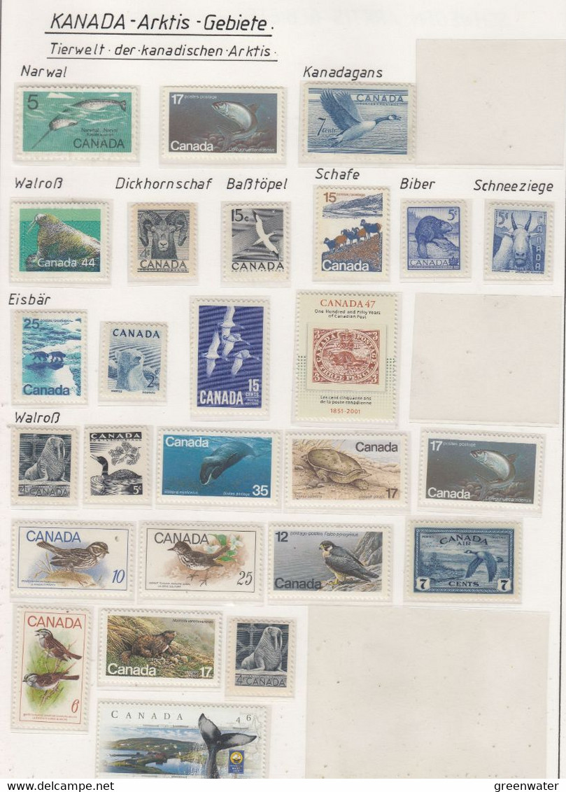 Canada Arctic Animals (see Scan) ** Mnh (AA161) - Faune Arctique