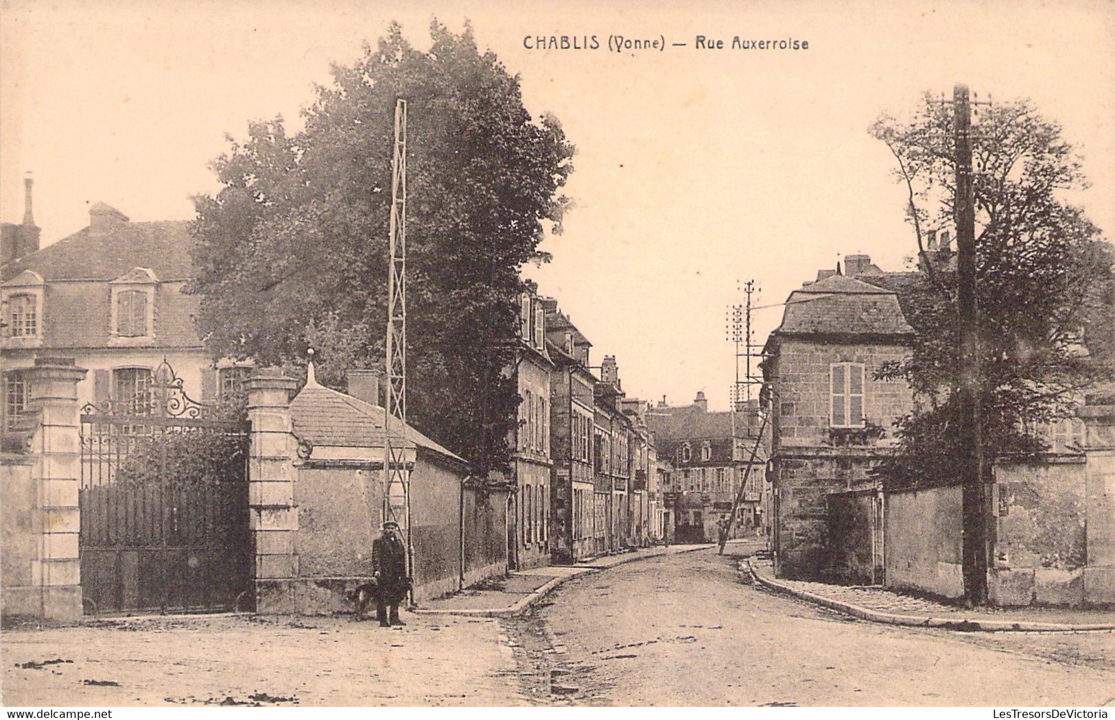 CPA Chablis - Rue Auxerroise - Homme Avec Son Chien - Chablis