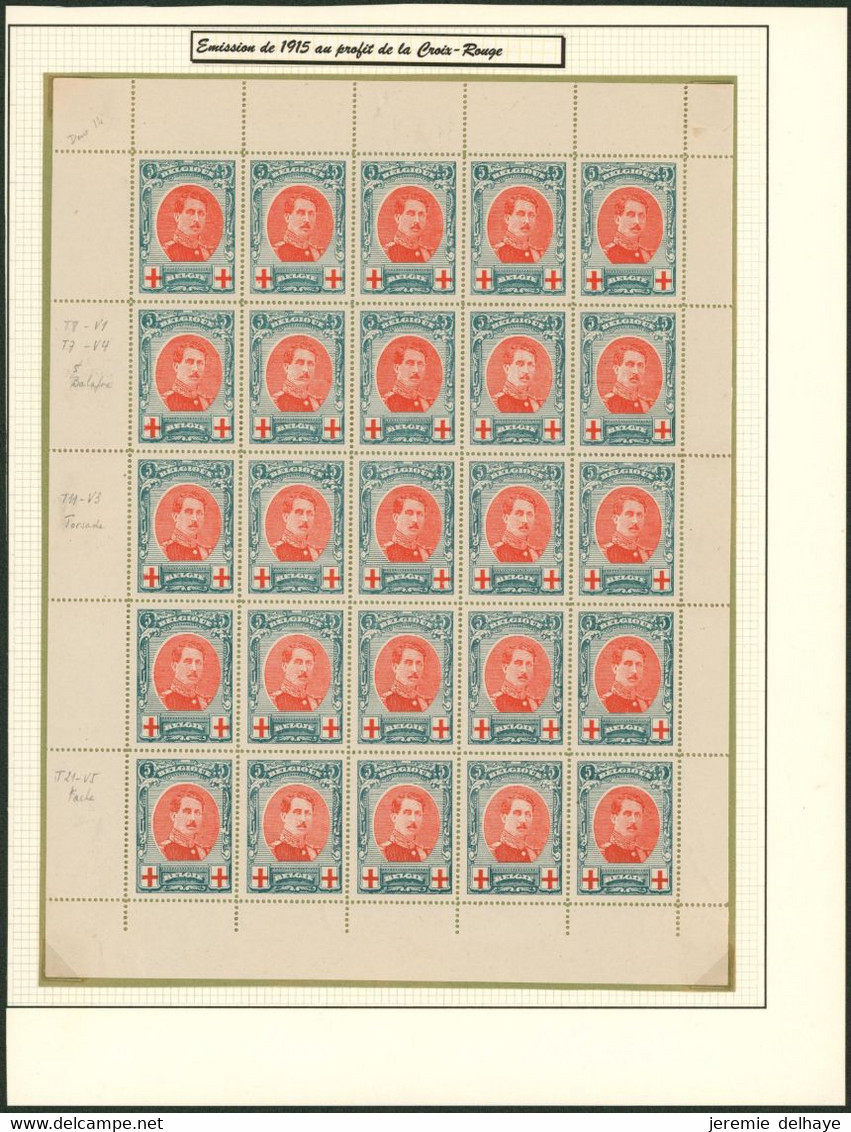 Croix-rouge - F132** (Charnière Sur BDF + V1, V3 Et V4/5). Petit Feuillet De 25 Timbres. - Unclassified