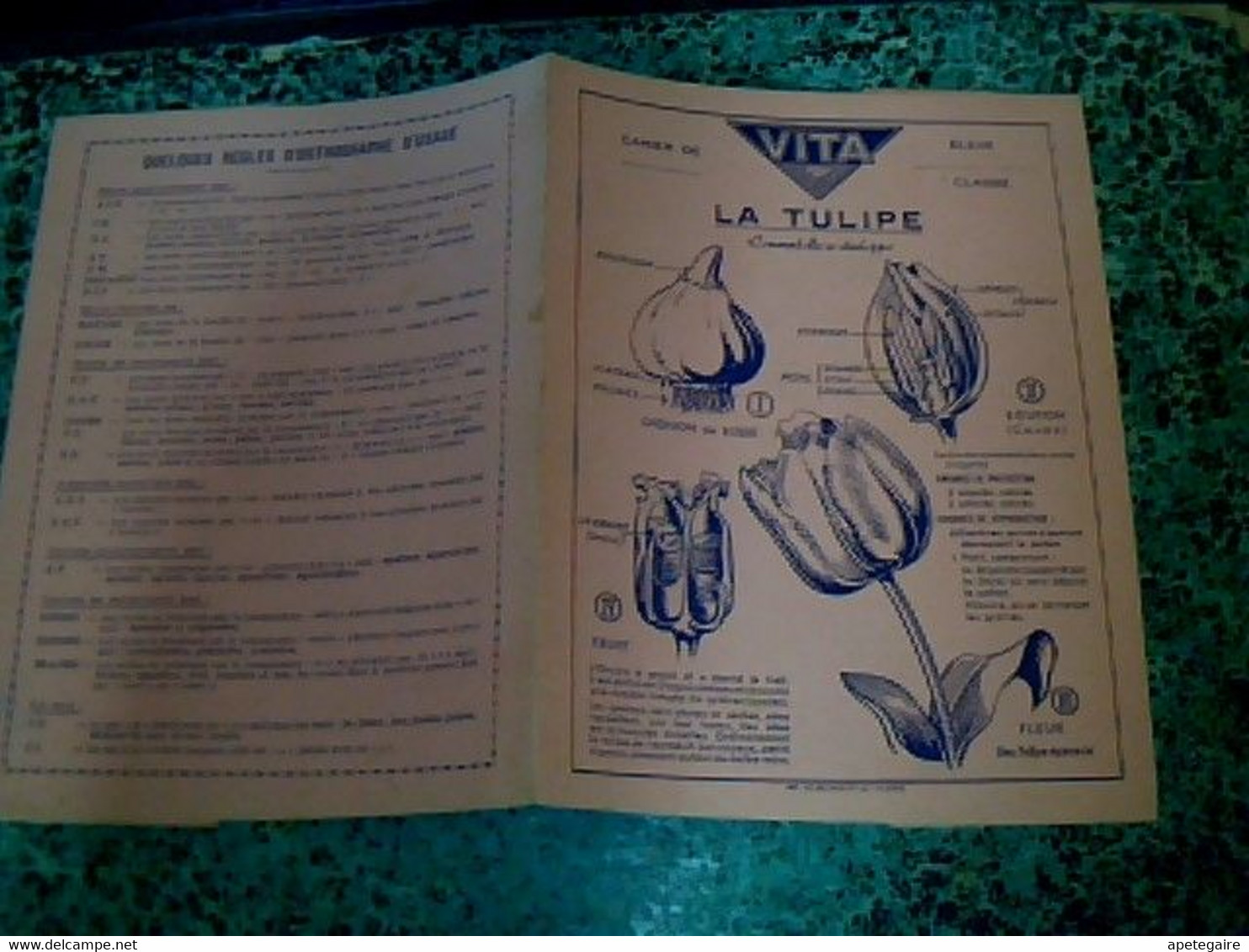 Vieux Papier Protège- Cahier Graines Vita Tulipes - V