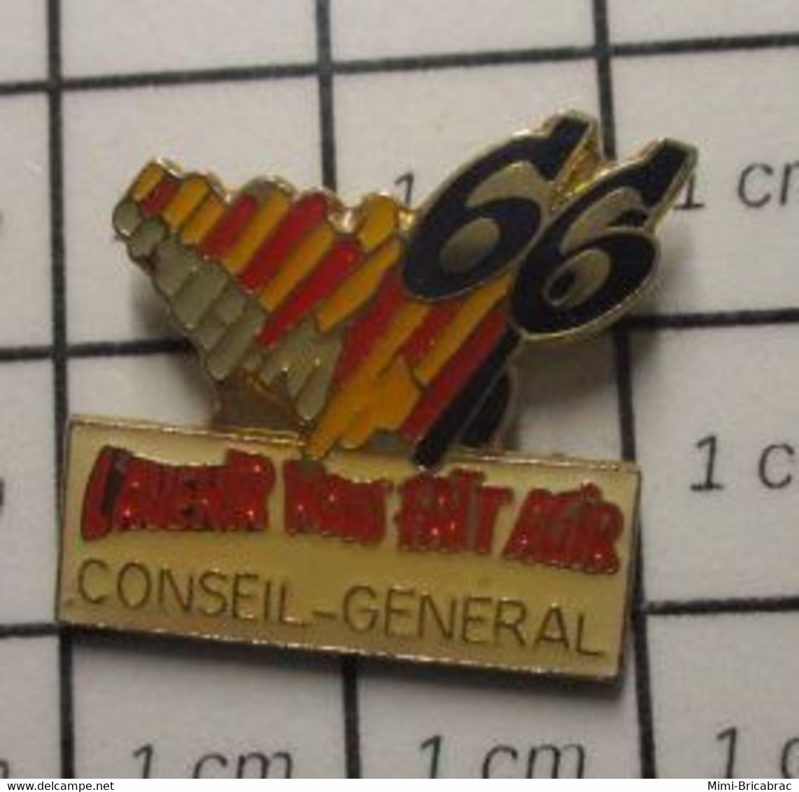 1818c Pin's Pins / Beau Et Rare / THEME ADMINISTRATIONS / CONSEIL GENERAL PYRENEES ORIENTALES 66 L'AVENIR NOUS FAIT AGIR - Administrations