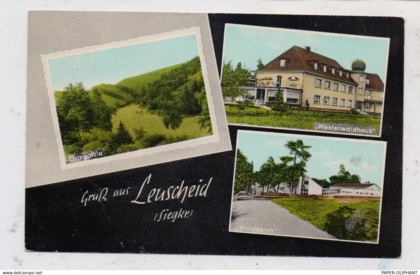 5227 WINDECK - LEUSCHEID, Haus Westerwald, Waldesruh, Ortspartie, 196... - Windeck