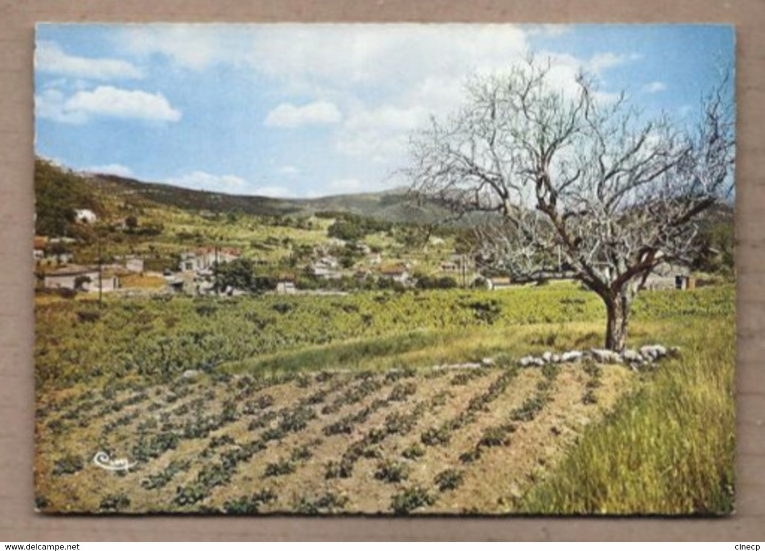 CPSM 13 - LA BOUILLADISSE - " Les Gorguettes " - Jolie Vue Générale Du Village - La Bouilladisse