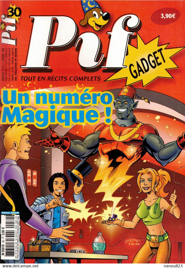 PIF GADGET N° 30 DU 03 JANVIER 2007 COUP DE FOUDRE AVEC NOLWENN LEROY  PIF ET HERCULE KLEPTOMEC MARSHALL MONK LOBO TOMMY - Pif & Hercule