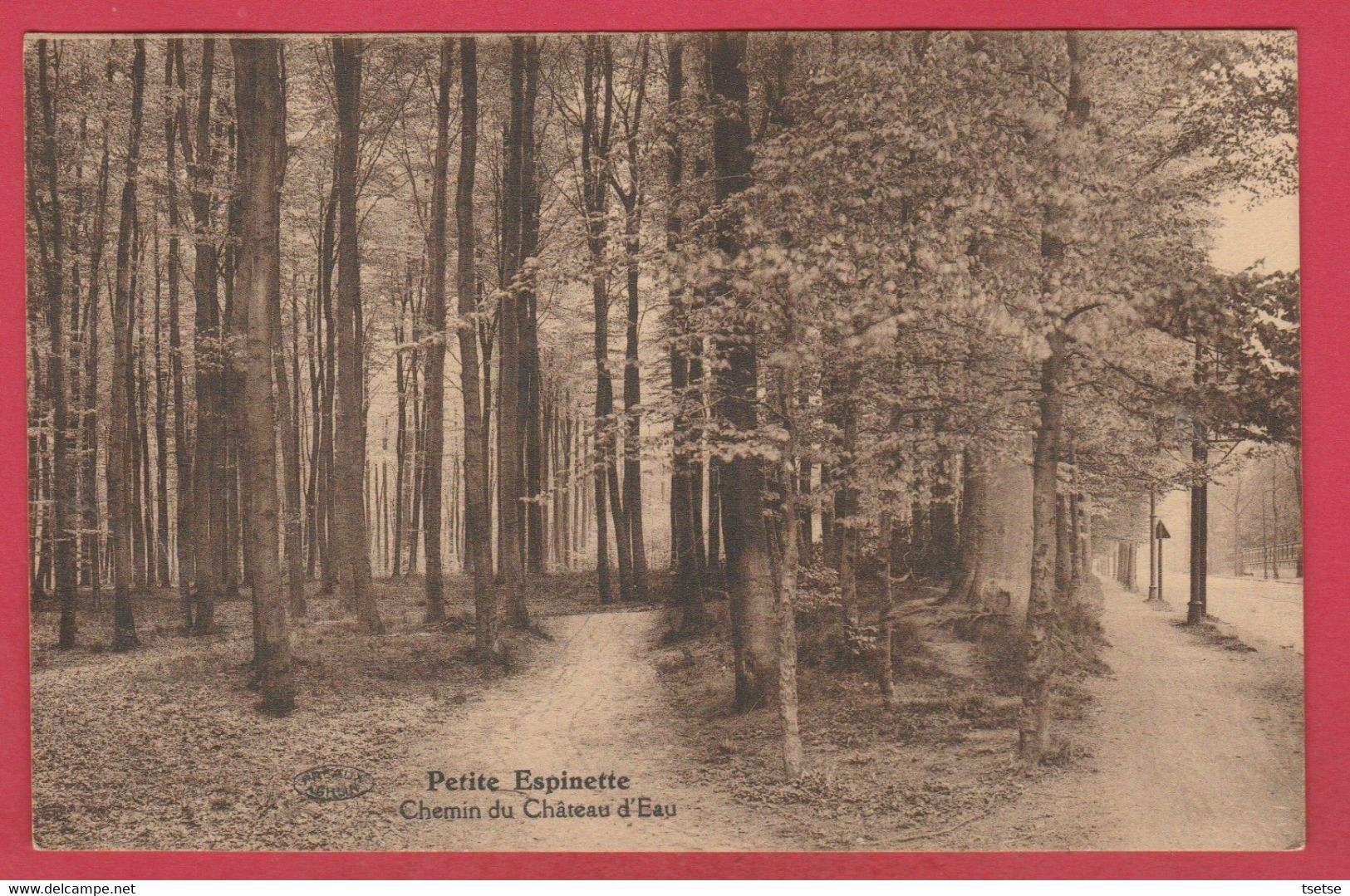 Rhode-St-Genèse -Petite Espinette - Chemin Du Château D'Eau - 1931 ( Voir Verso ) - Rhode-St-Genèse - St-Genesius-Rode