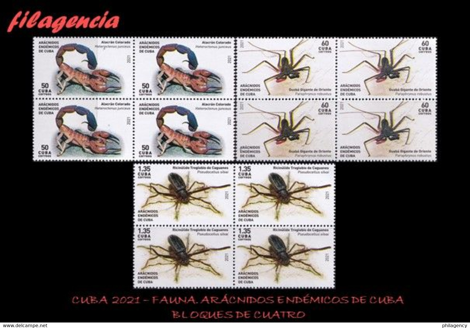 CUBA. BLOQUES DE CUATRO. 2021-09 FAUNA. ARÁCNIDOS ENDÉMICOS DE CUBA - Unused Stamps