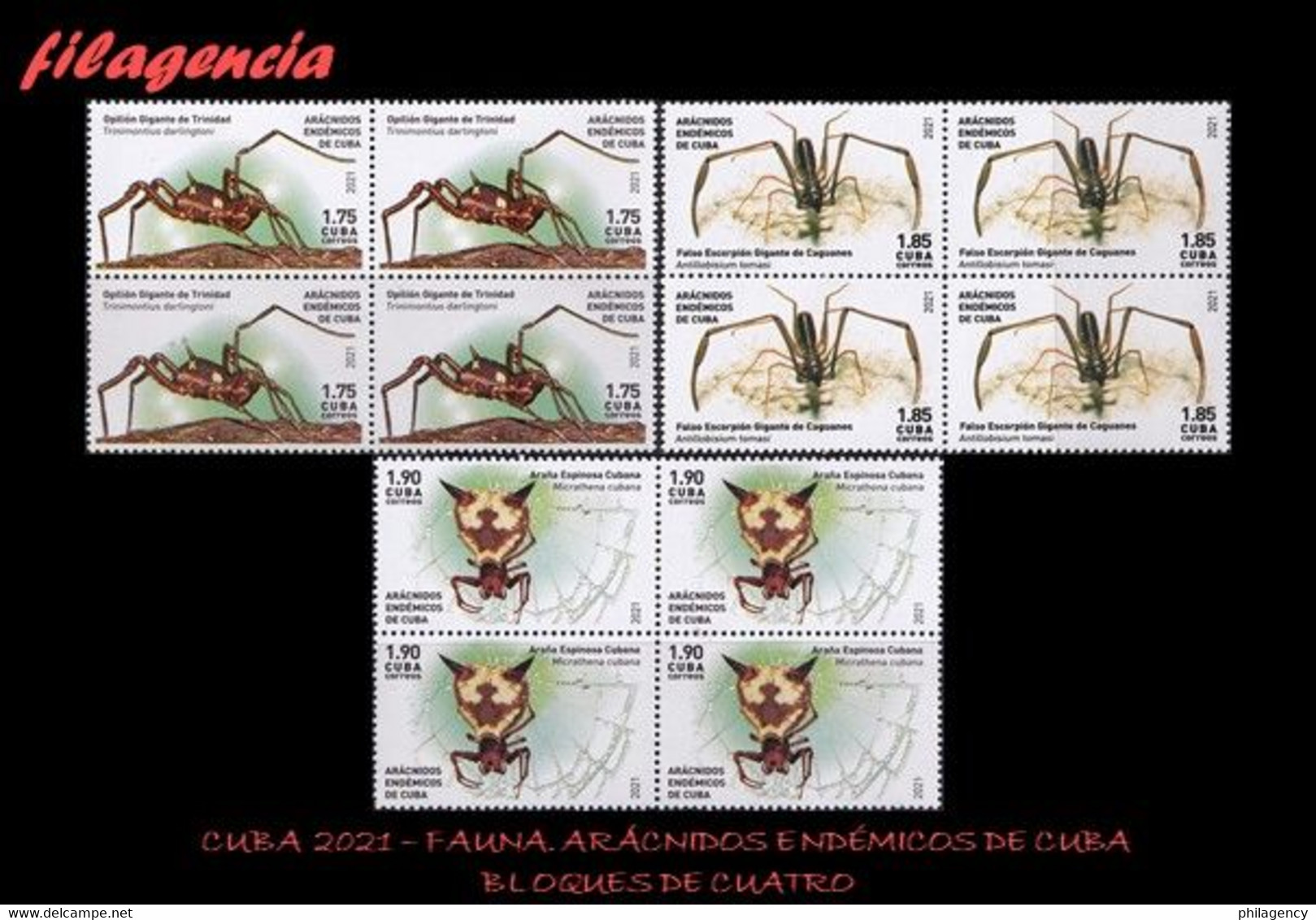 CUBA. BLOQUES DE CUATRO. 2021-09 FAUNA. ARÁCNIDOS ENDÉMICOS DE CUBA - Unused Stamps